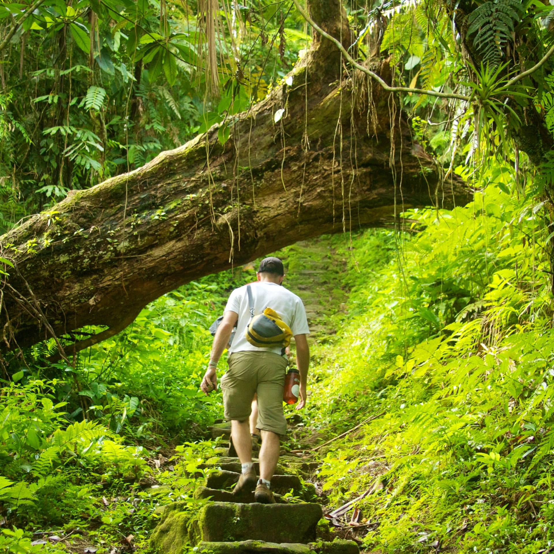 Hike Colombia's Lost City
