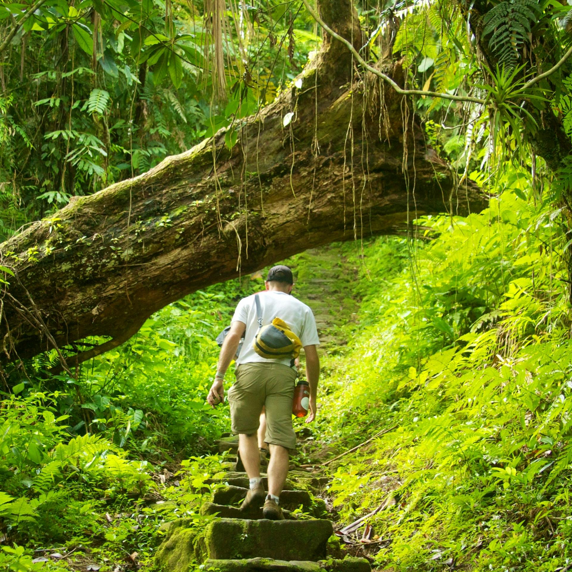 Hike Colombia's Lost City