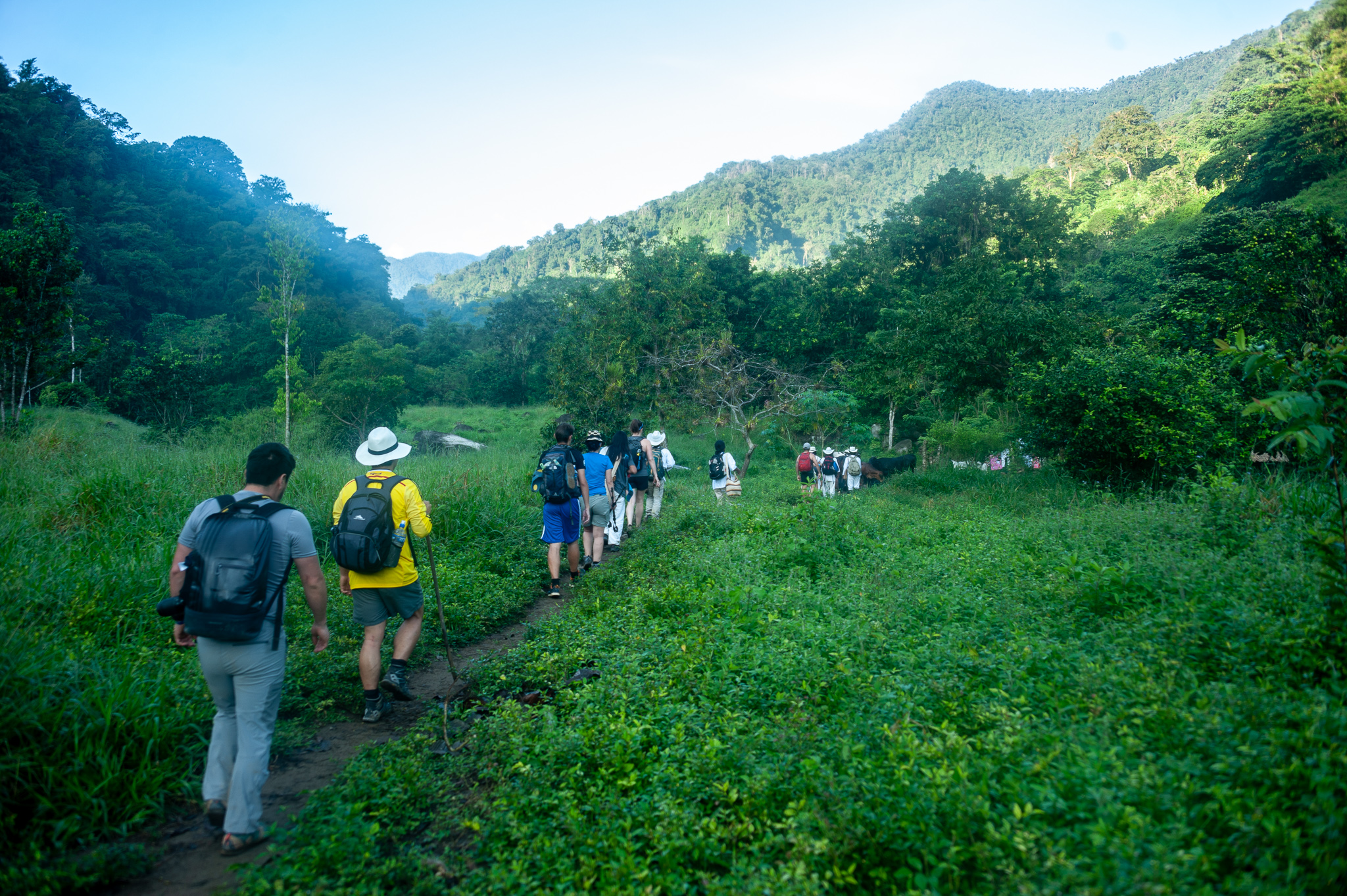 image_JPFDSANVZC8WECJY