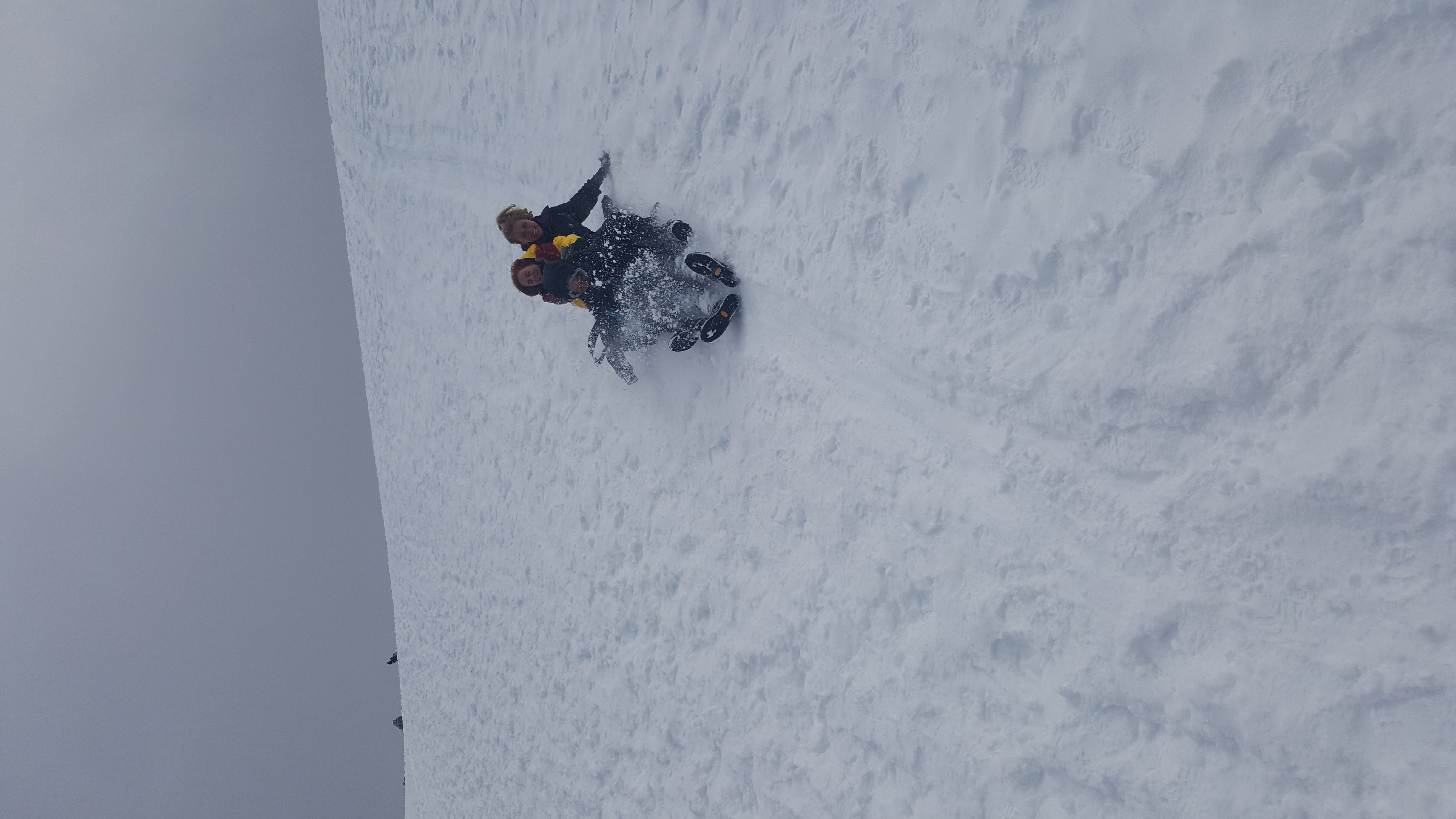 image_L6AH8CW58QPEEL5W