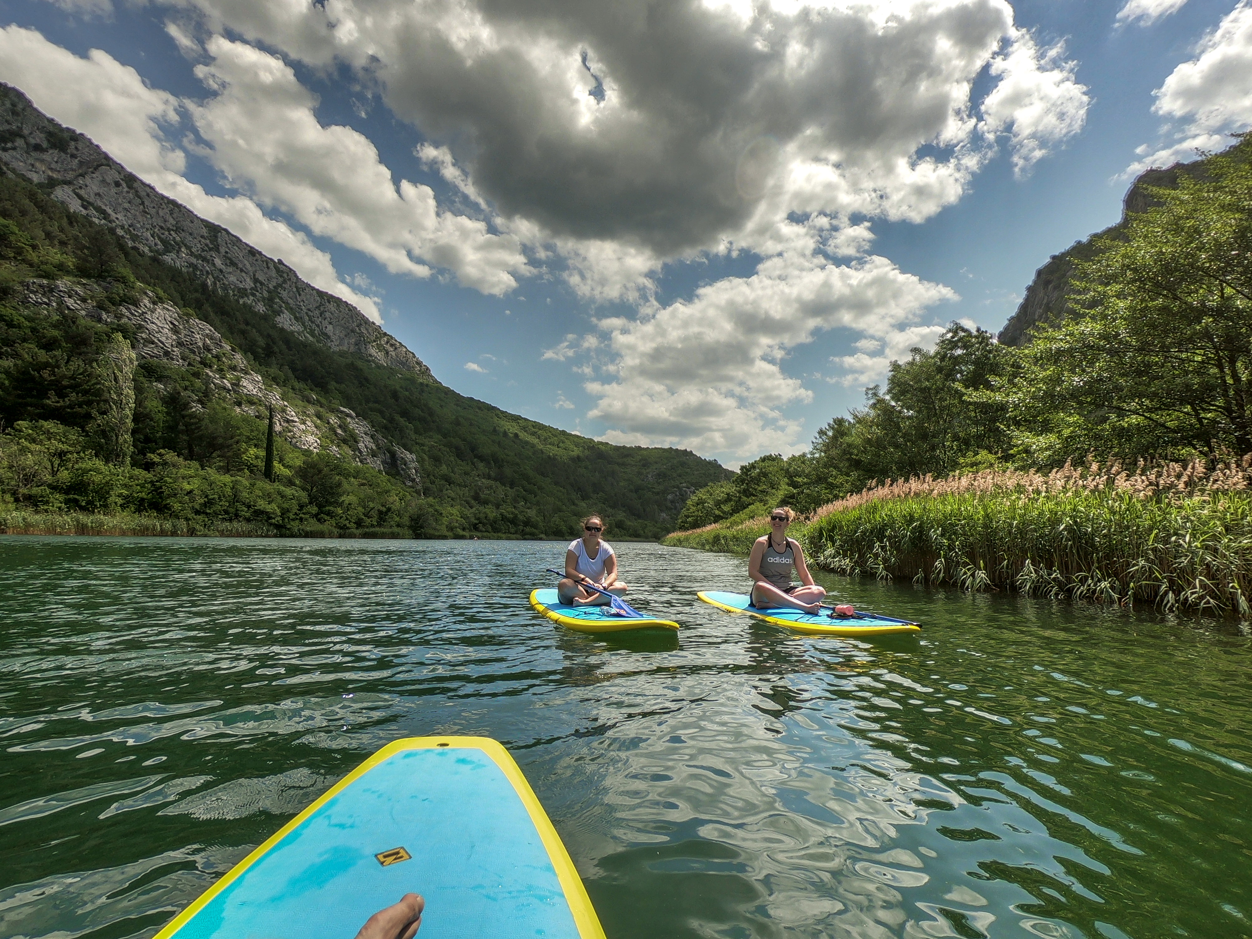 image_D6RYGC83G4YZ48SC