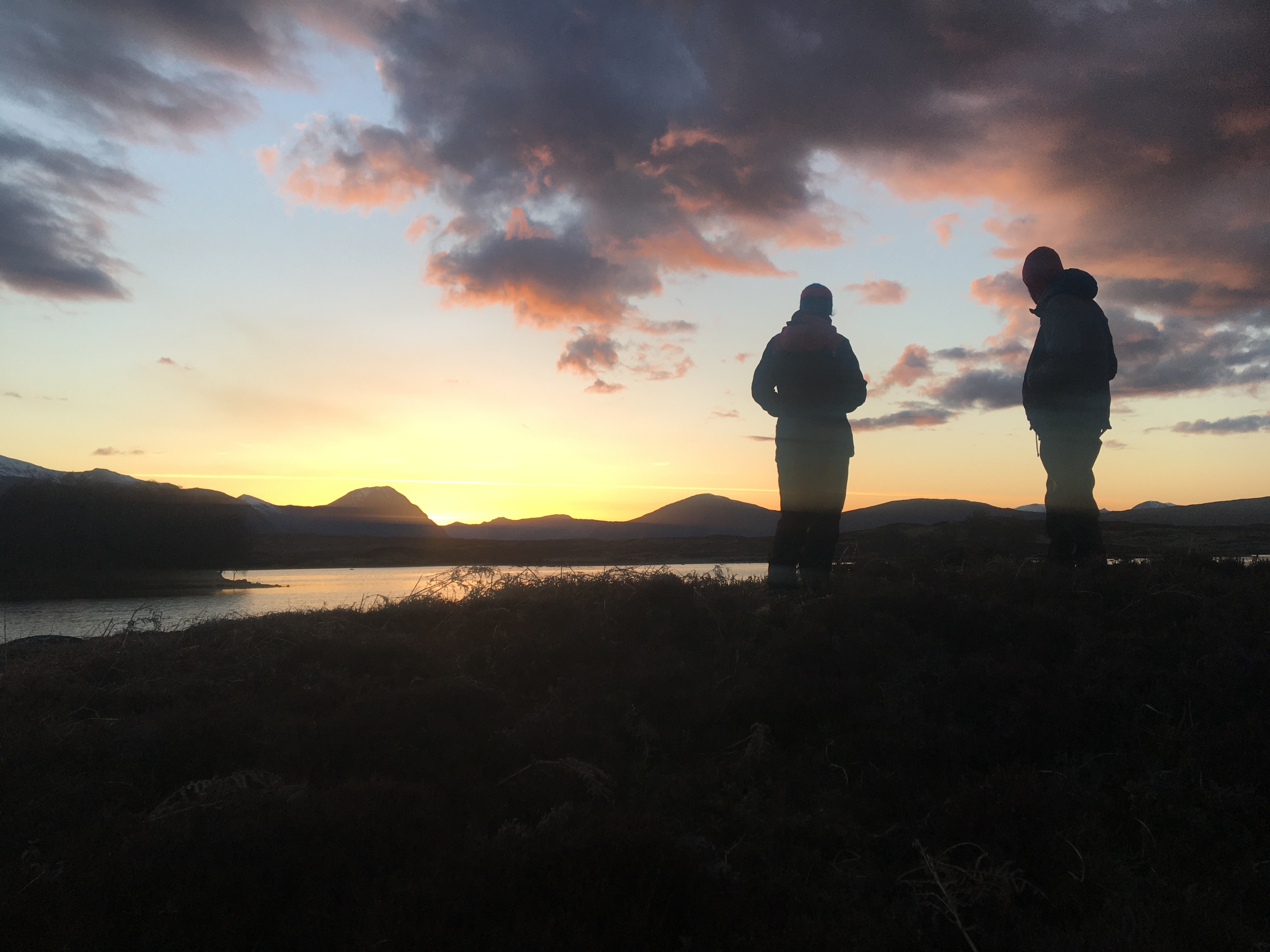 image_YSP62HVVNVXF9WP4