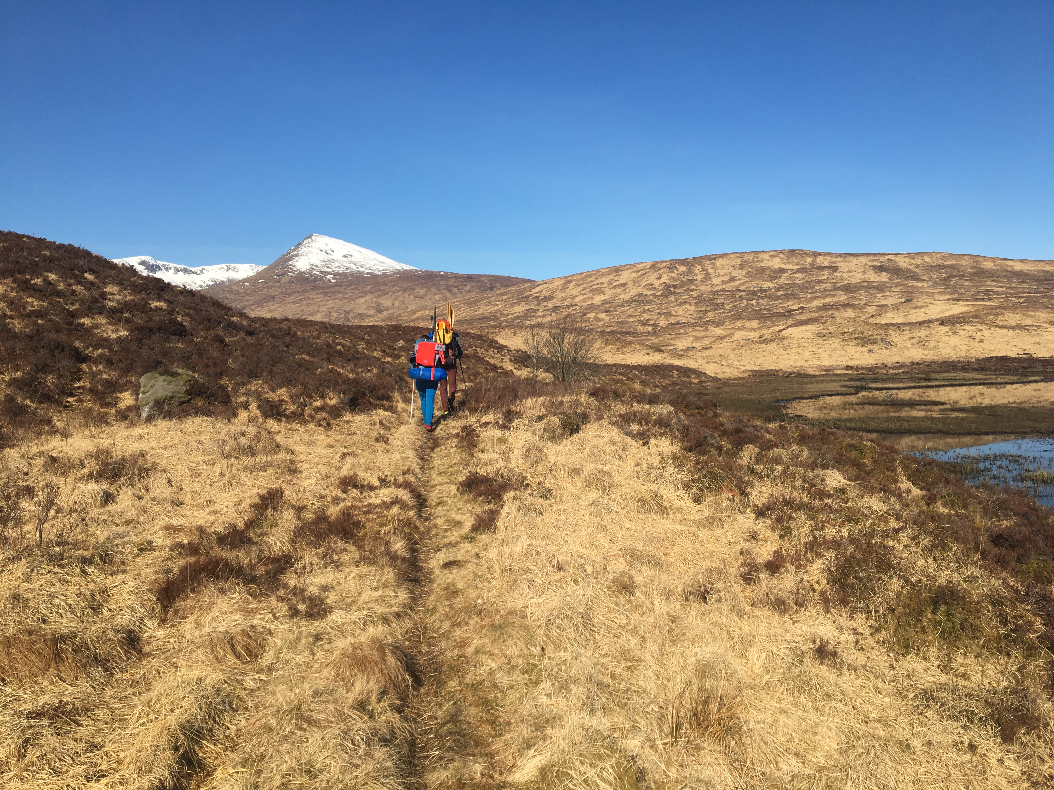 image_4CNDT9PGDYU4P33Q