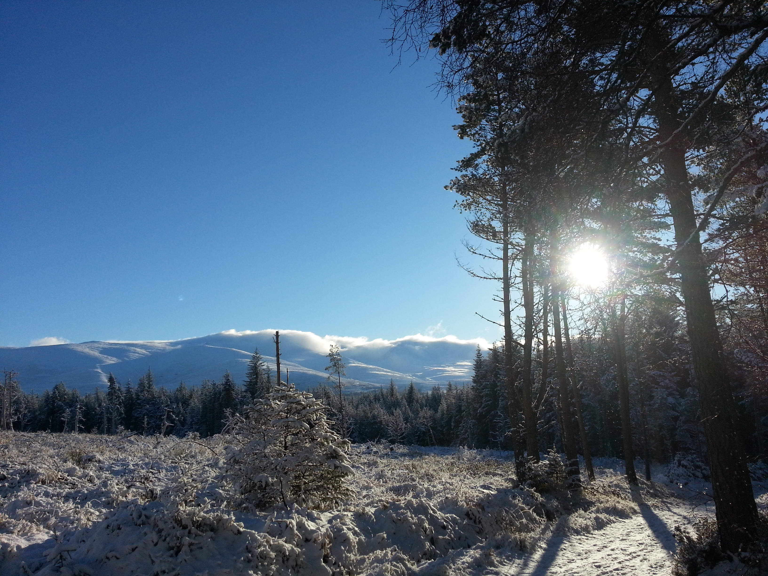 image_MBRJG2QGBCWN8WJH