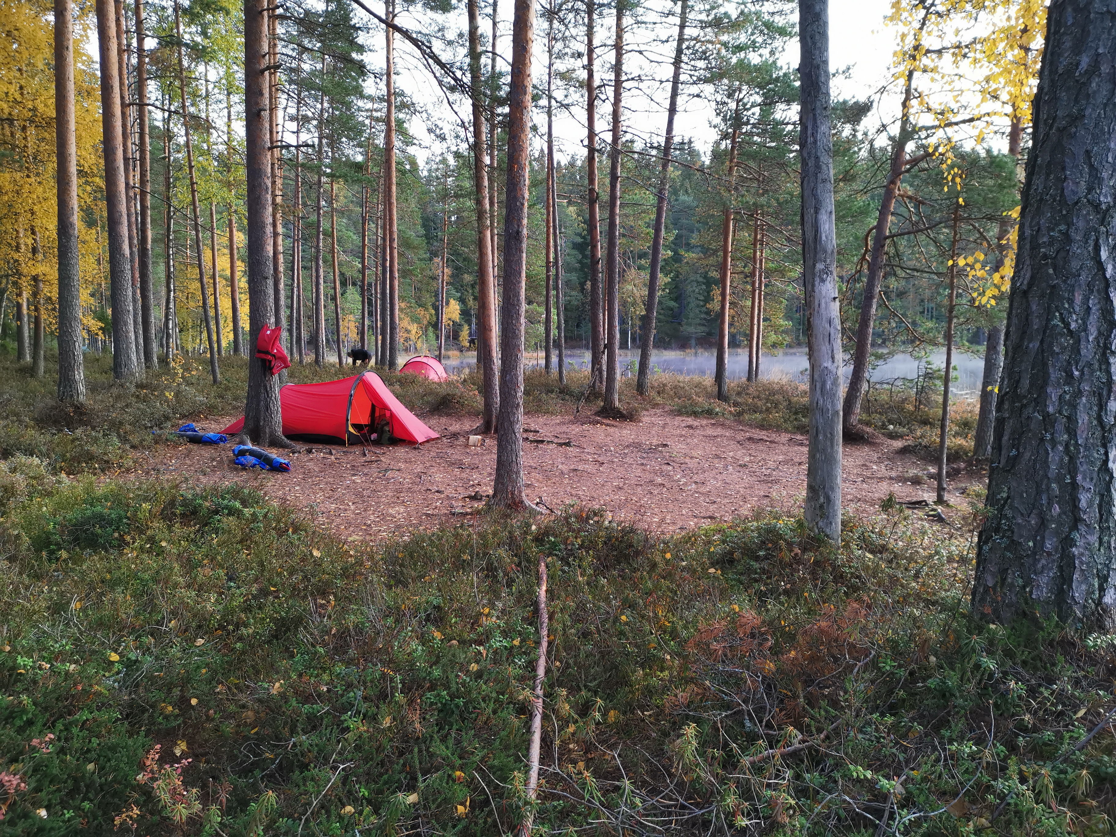 bfced2d5-15f6-4604-87d3-ebb45c9d8f40