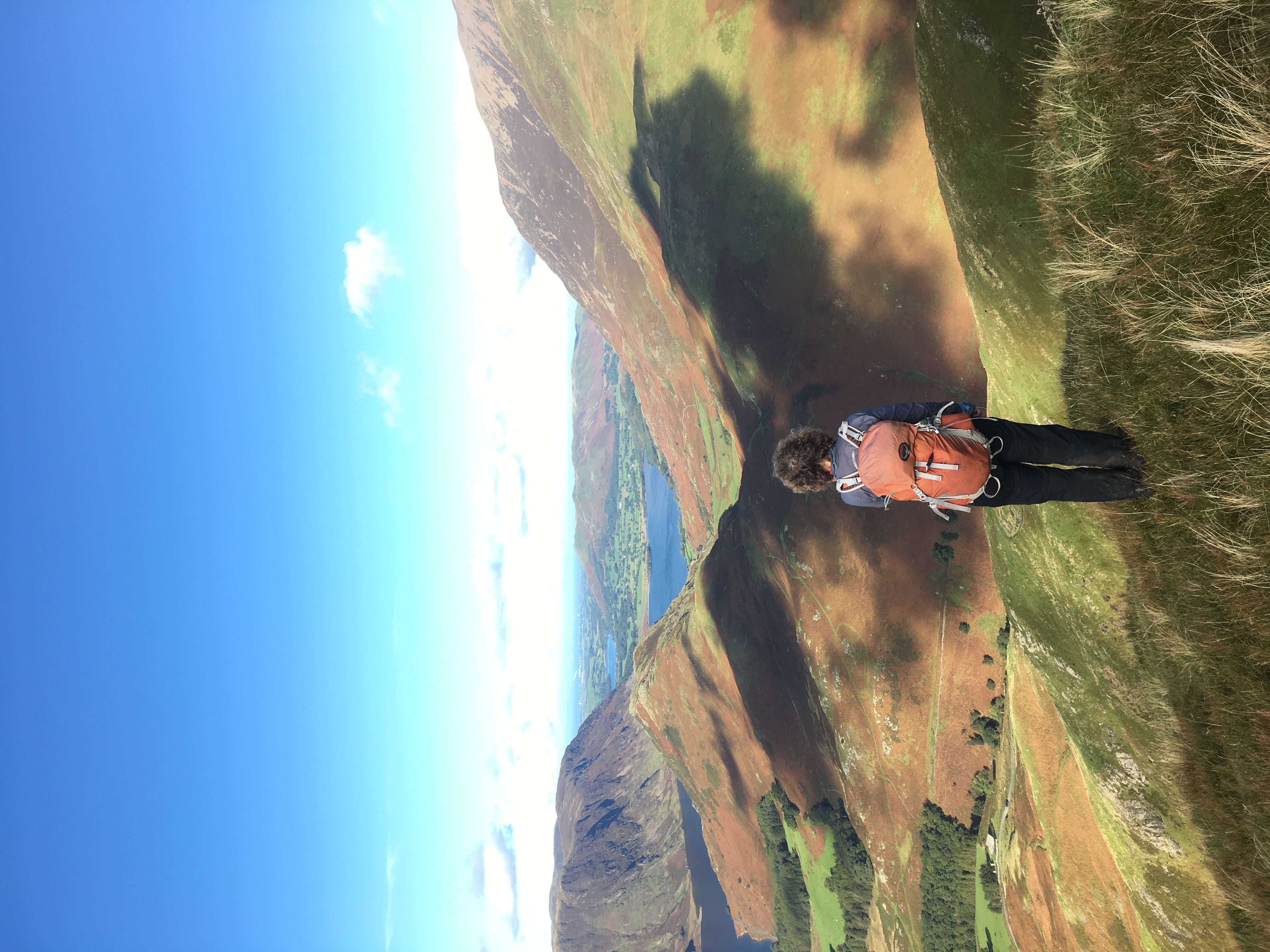 image_A822EVUDZ29LYFF7