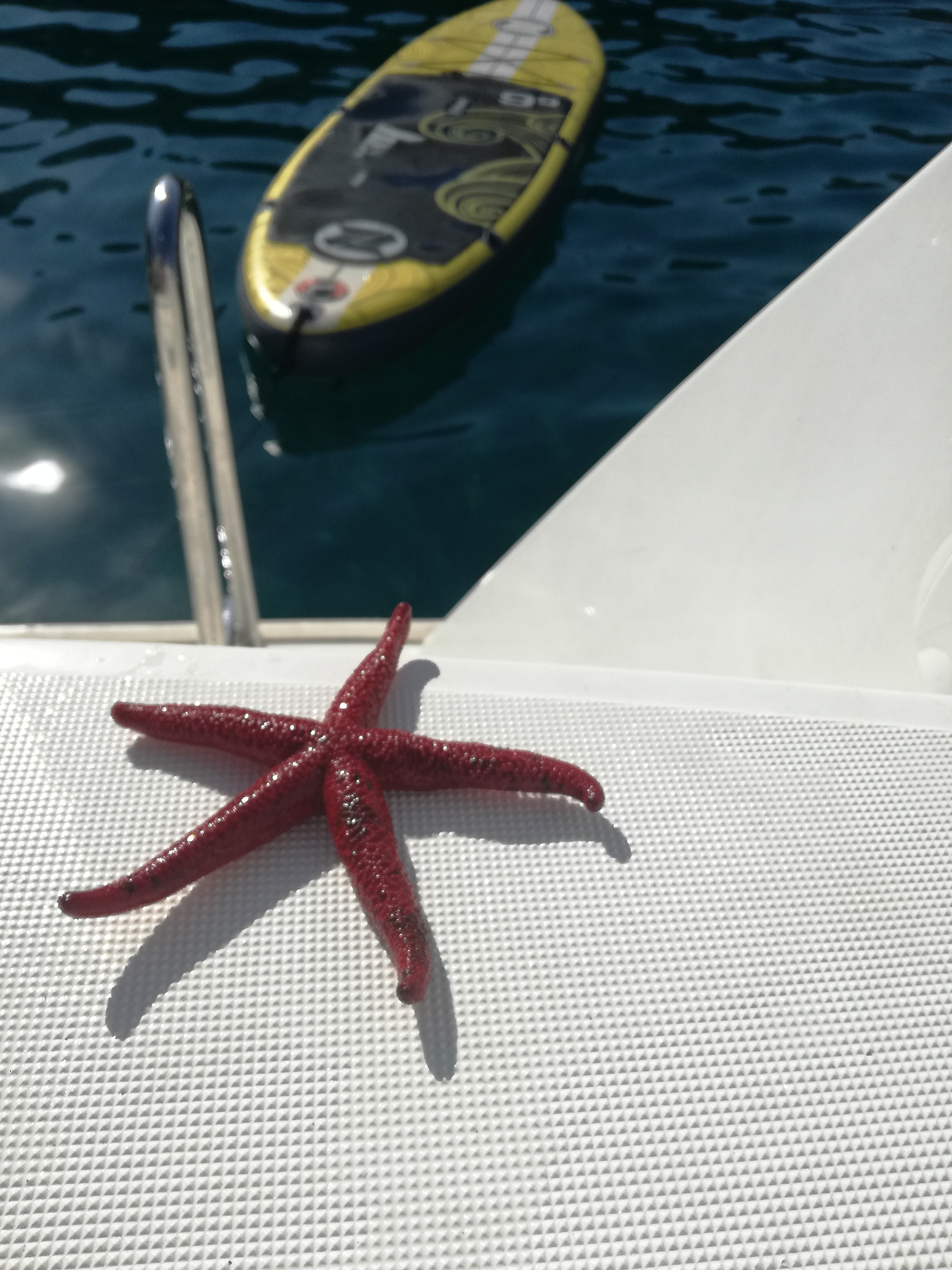 image_RL9PTXW9RWD3WQU6