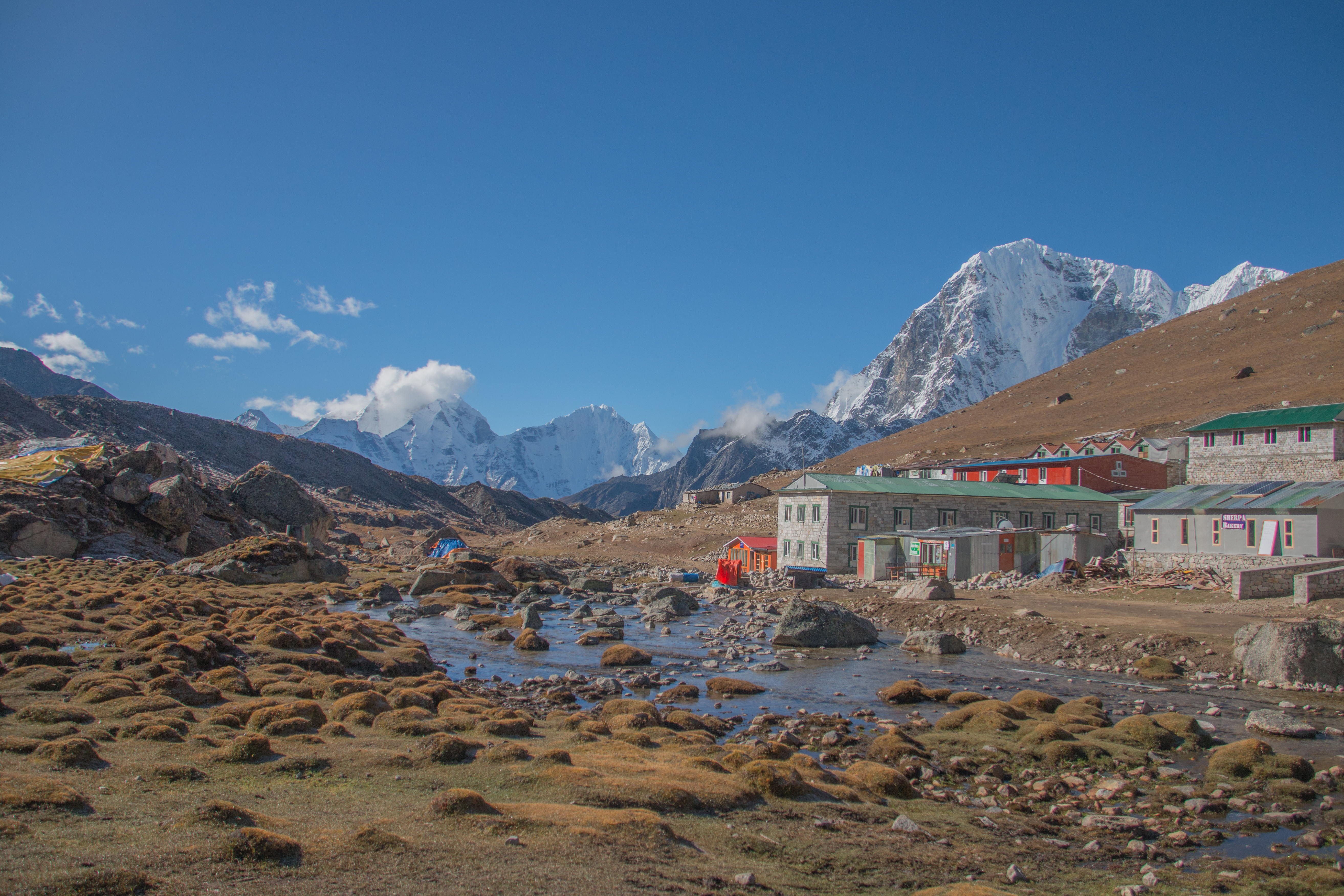 image_RZ6YNNZ85Y5U8B29