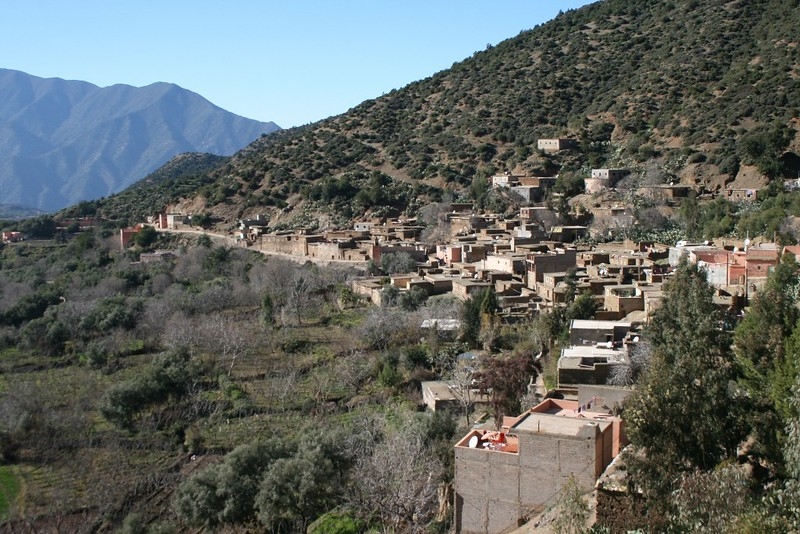 image_G663RL3Y8AUP6S3Y