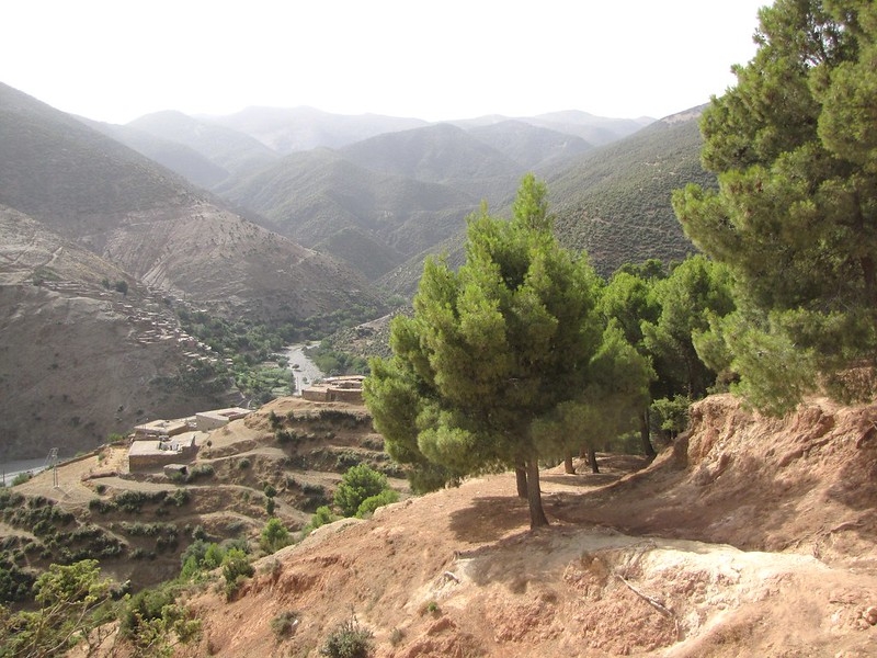 image_93WLTDZJHMJ5AHFS