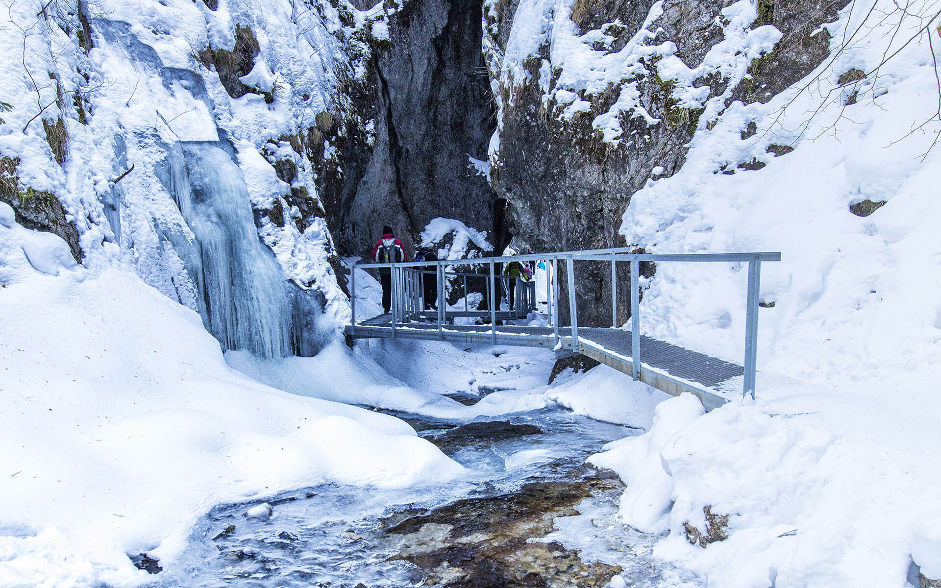 image_3VGHX3NFJ8D37Q5X