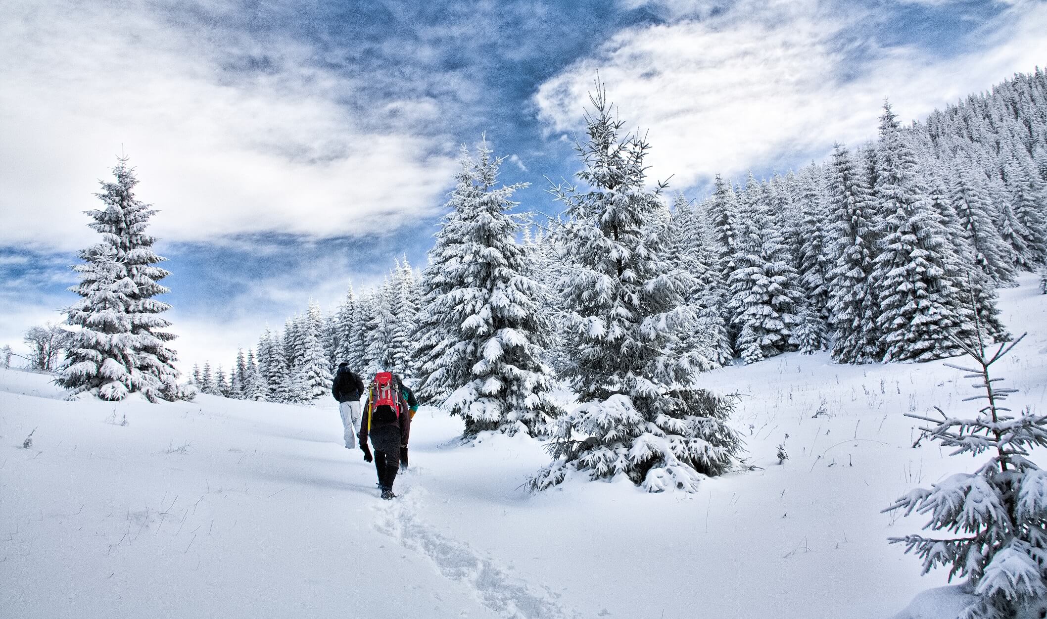 image_Q5L9LZXDCYCGFJLH