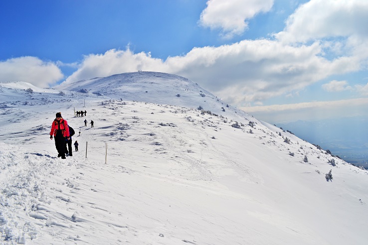 image_Z9KK3XJ73U7ES7VS