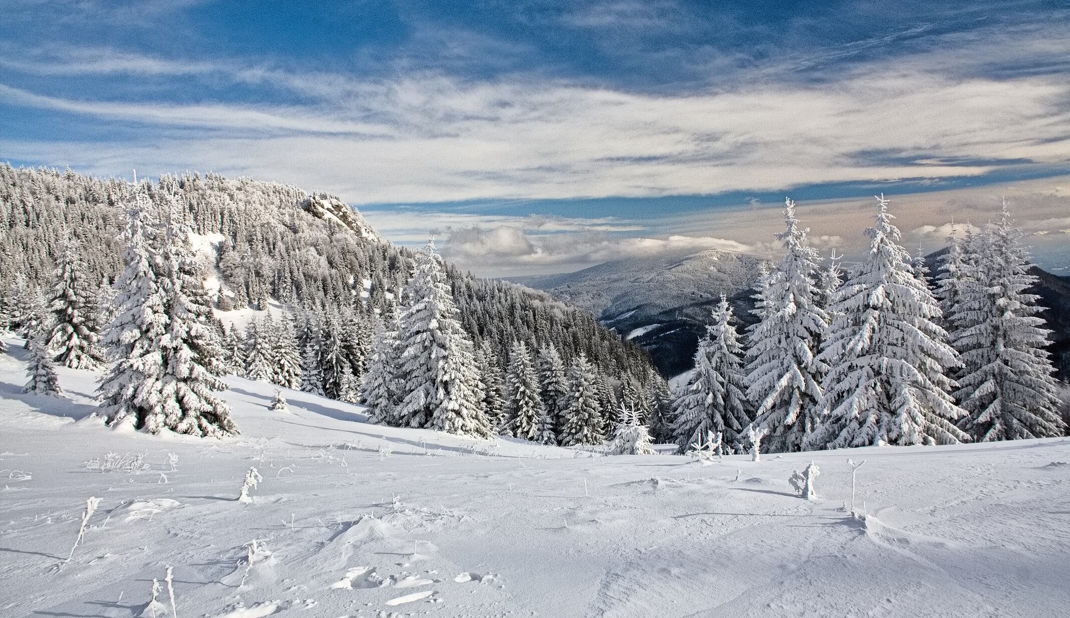 image_49ER5FXR8HPDTMP7