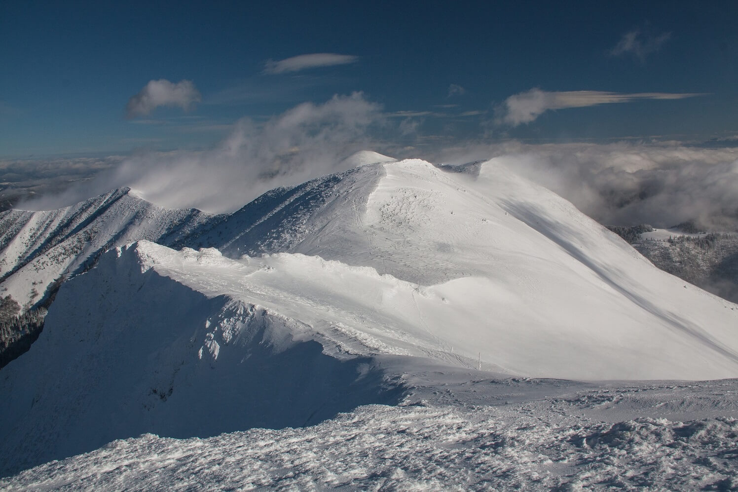 image_NK5YU2CZRUTYX4AD