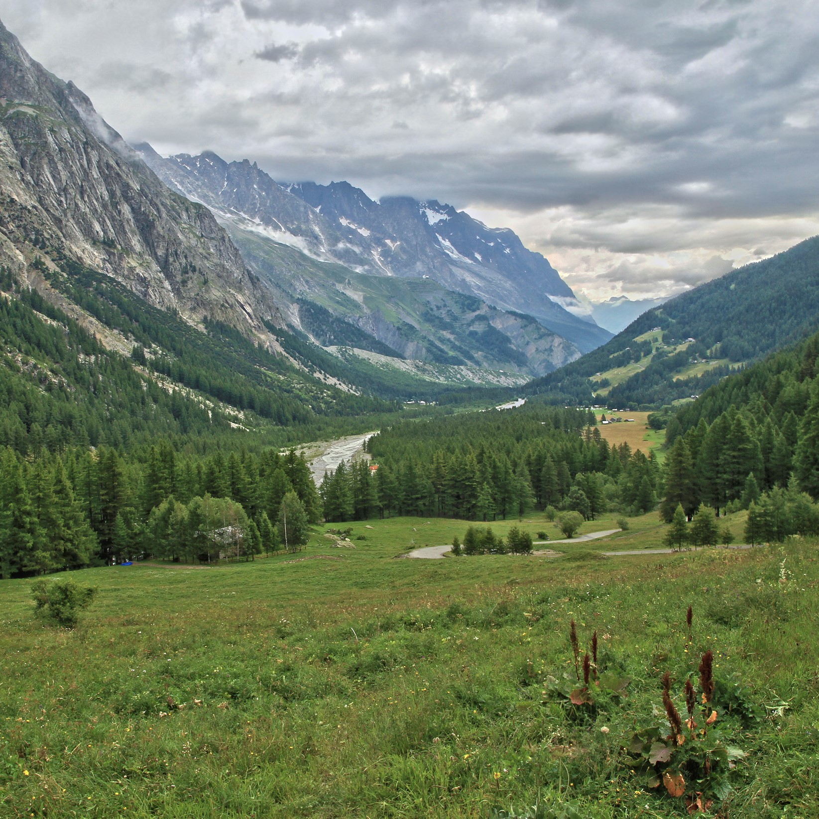 72053485-1b7e-47d7-bf5e-3be08115d1d4