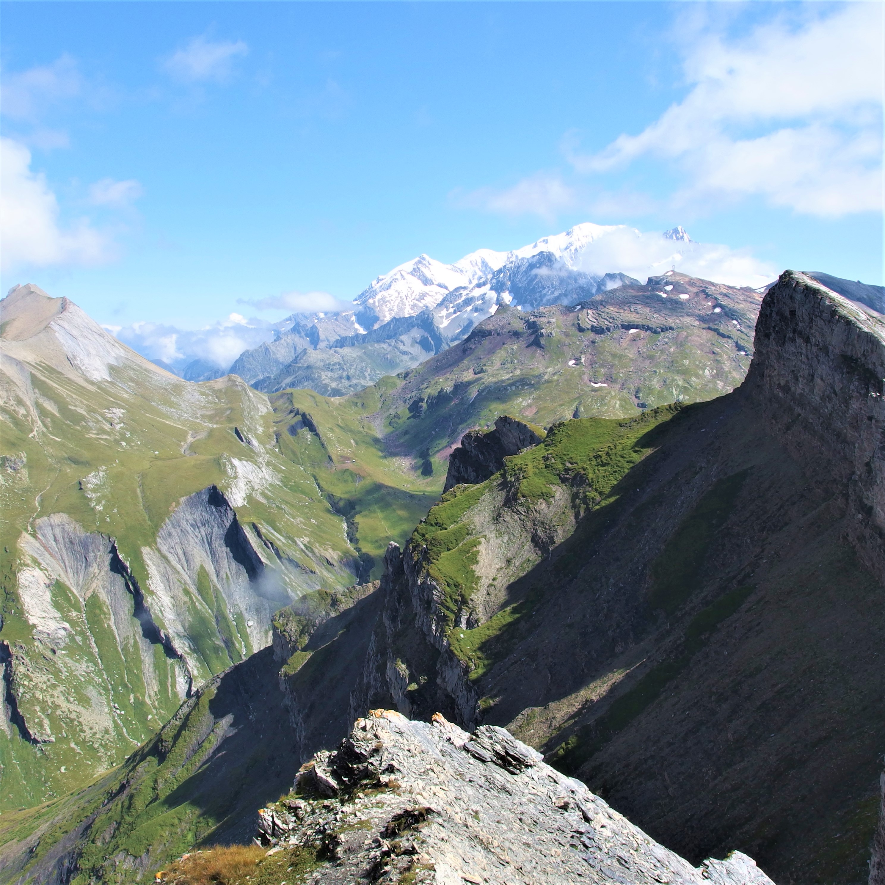 97eee39b-22c5-4e07-914a-286feaa2e1b4