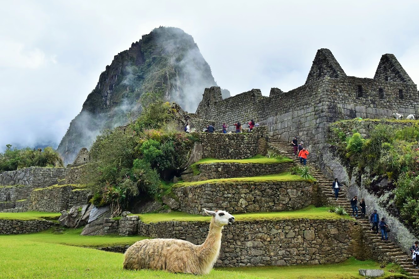 image_GHD72XQVHVJUYP7D