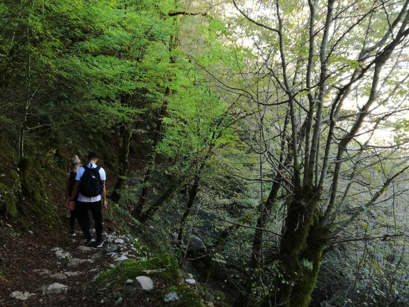 image_EMHHR8H3DVMXDKT3