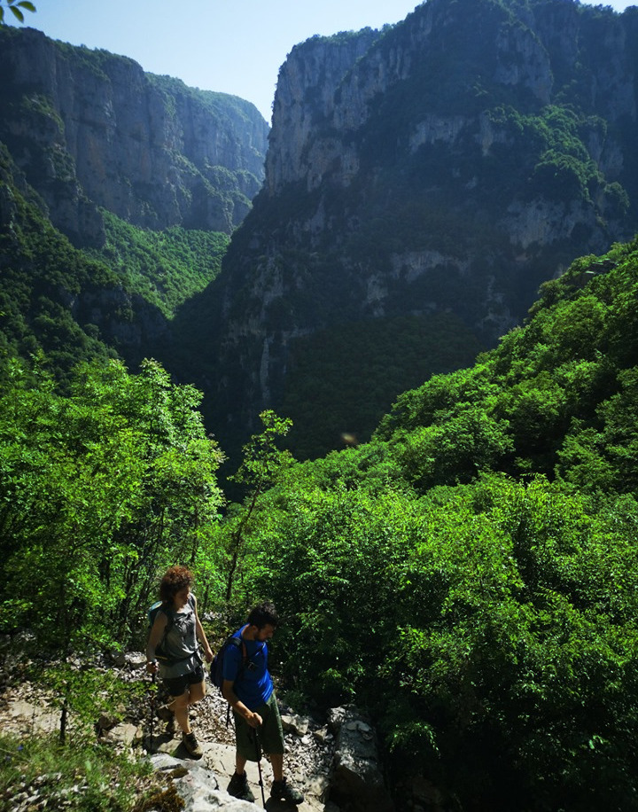 image_5SZLSW95JBRRZG5Q