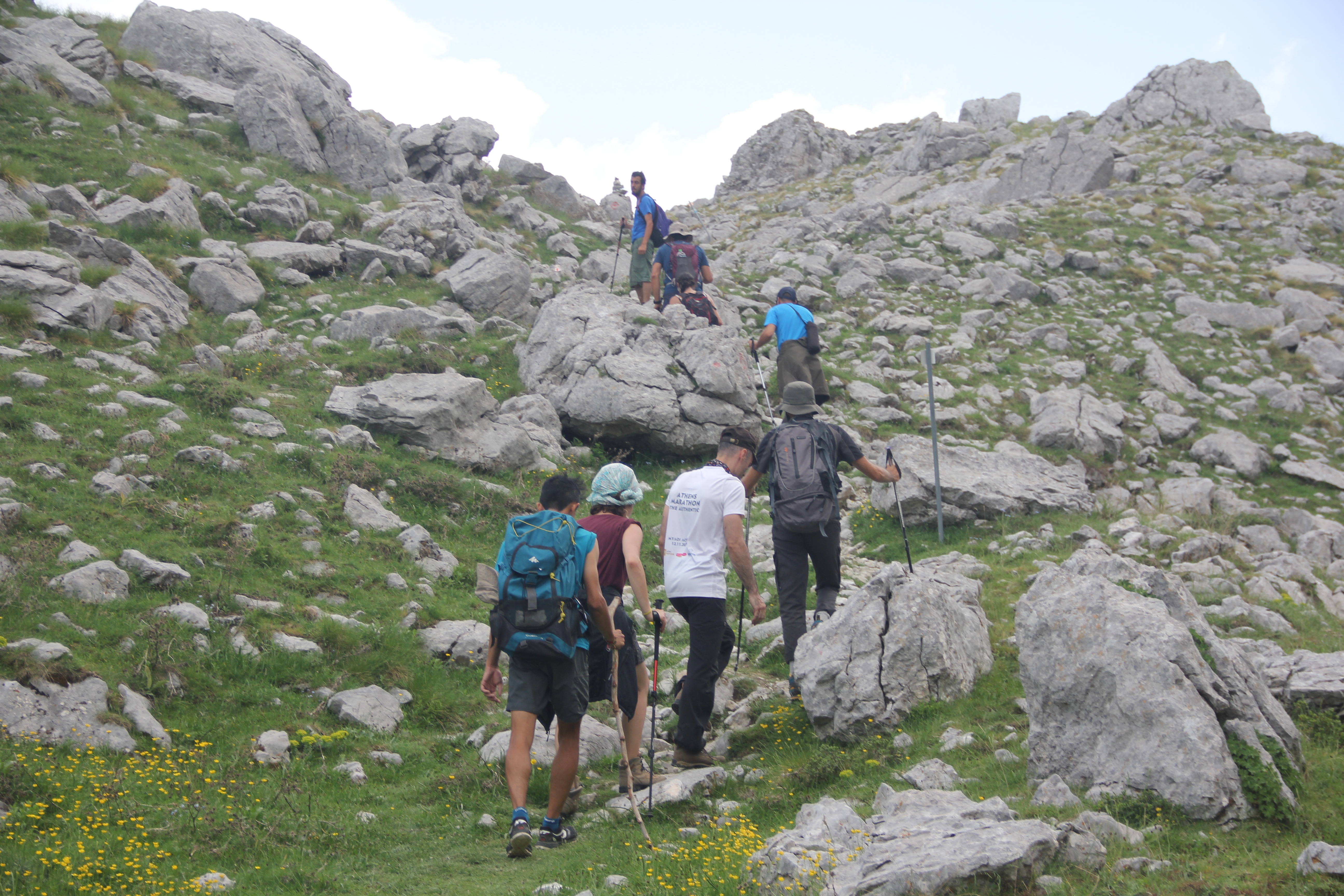 image_ZBD6KMBNYKTT59YM