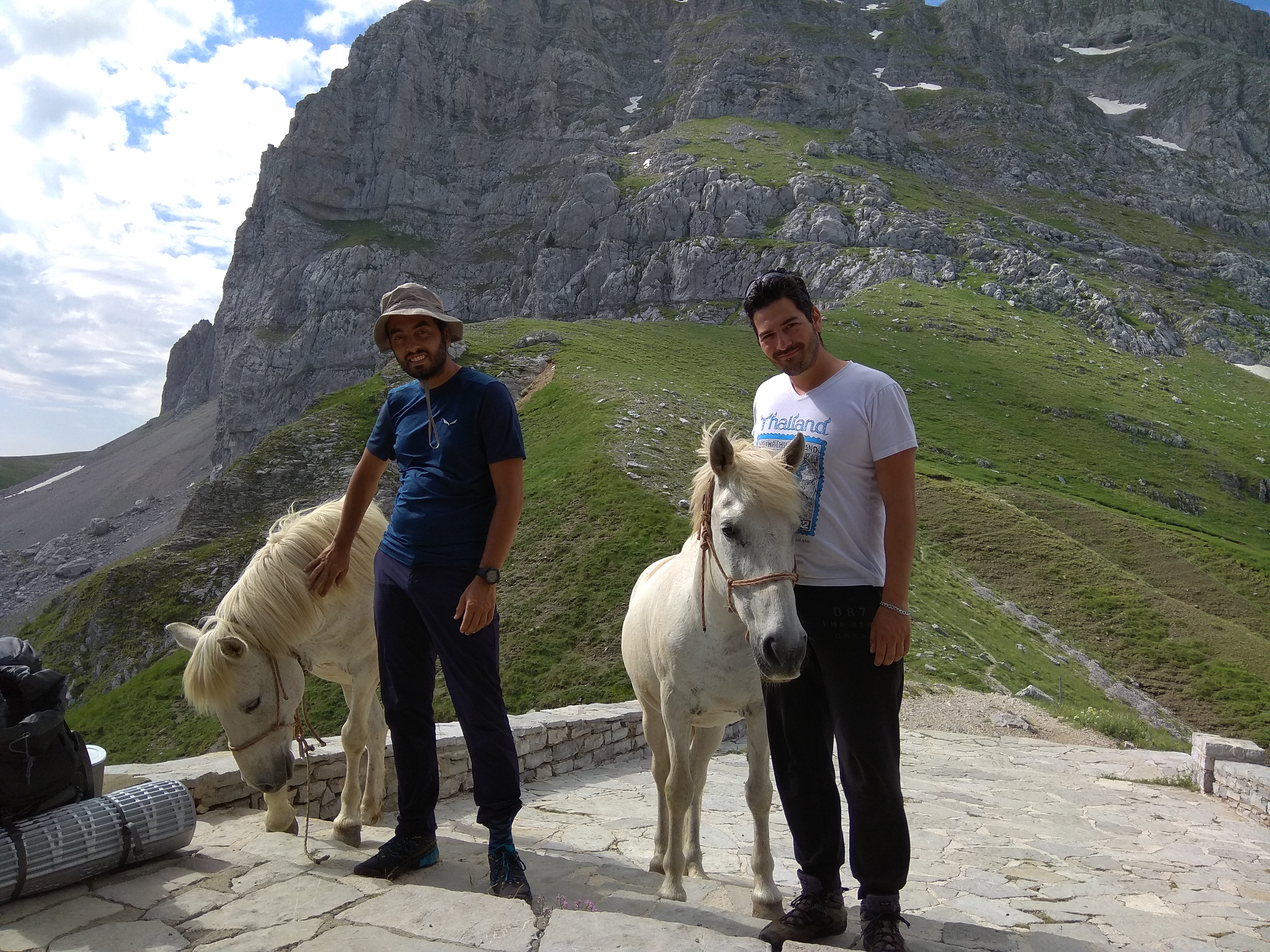 image_KDMCSNSEF7V2QNZN