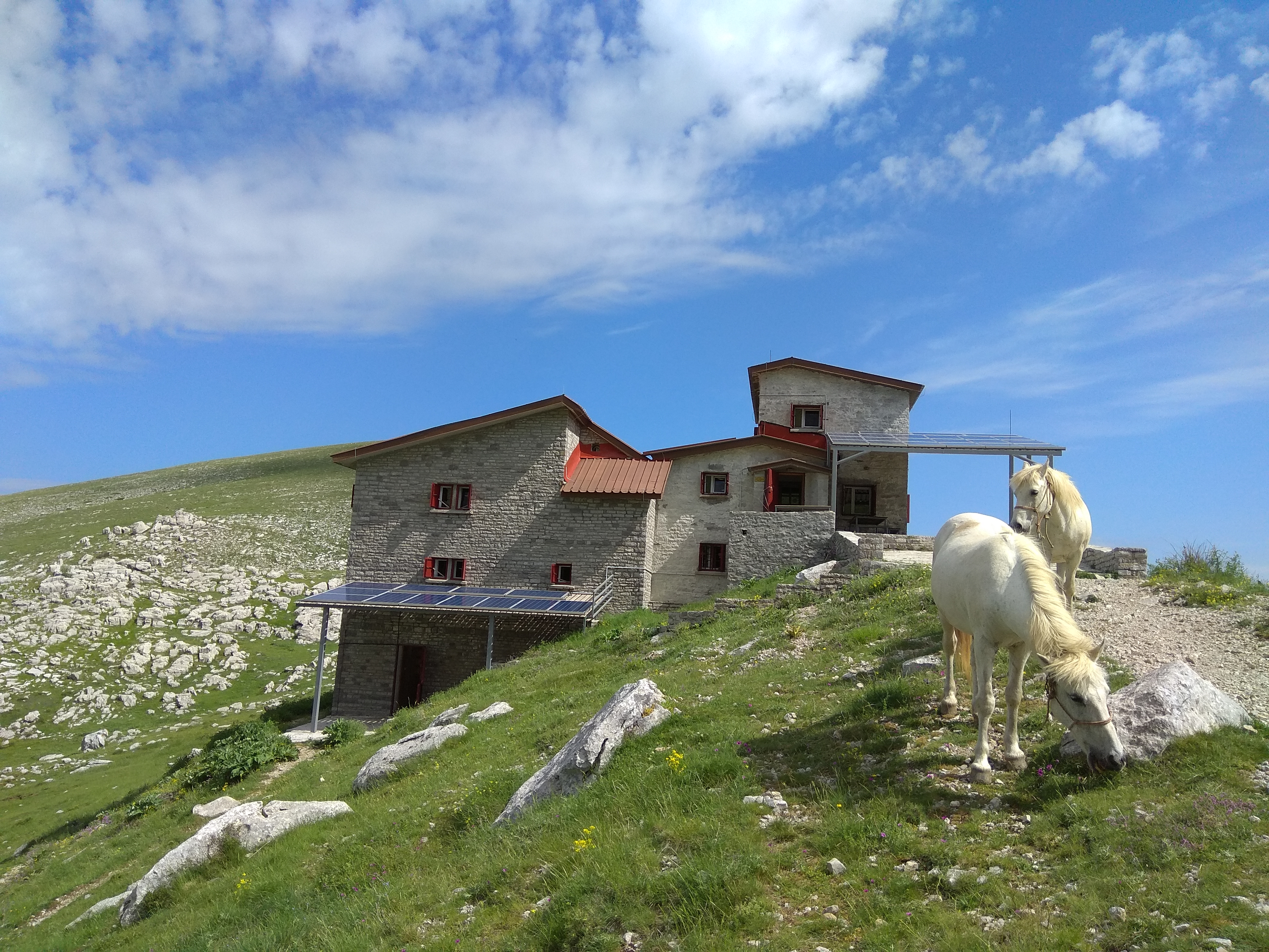 image_Z86PYUTHCGSYP7Y4