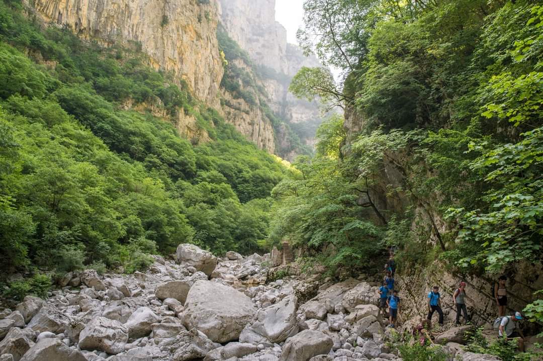 image_F7RR4E3GCK686KN5