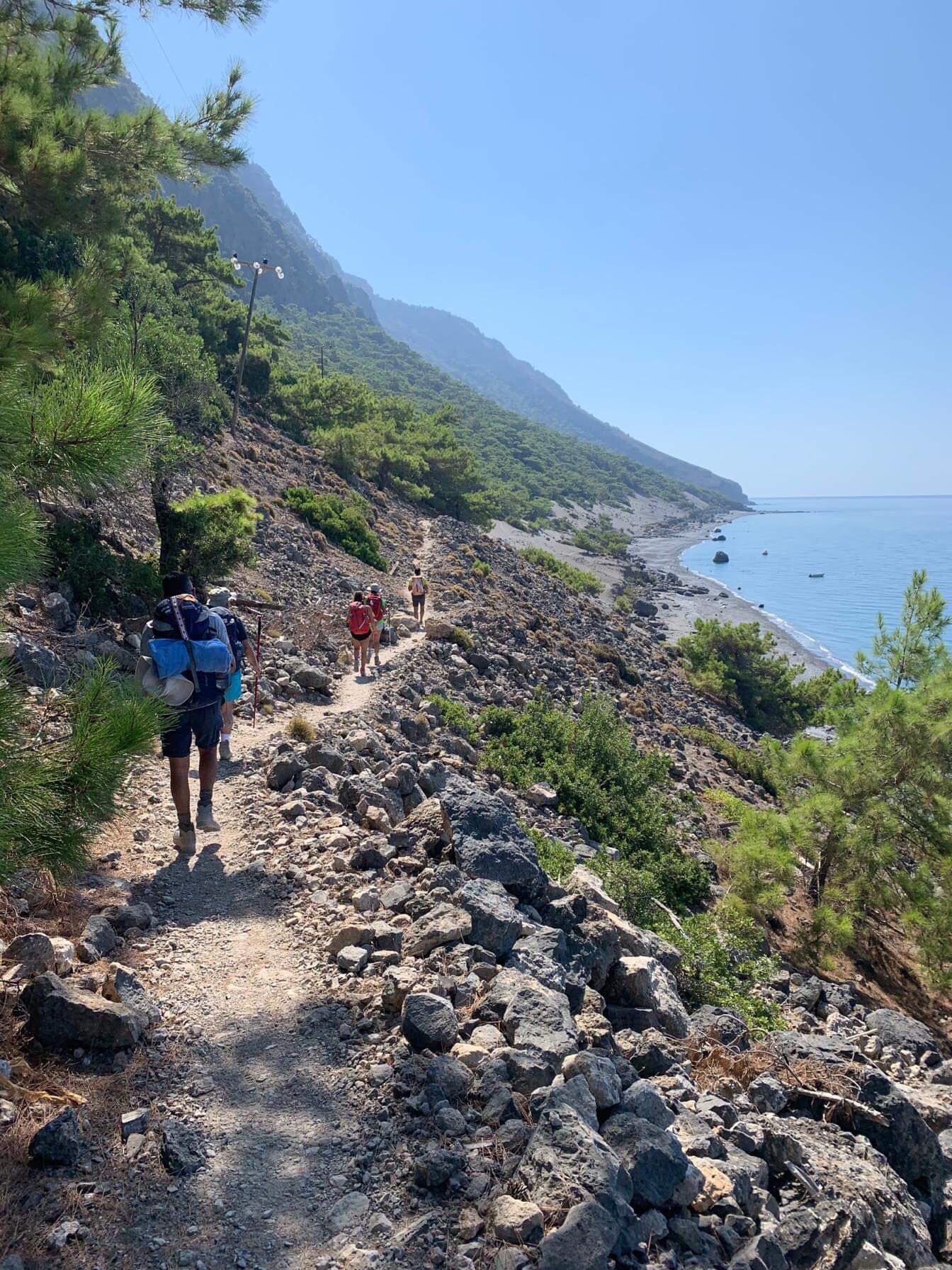 b9de46d5-1ee4-4400-b1a4-7428ee75771b