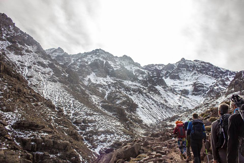 image_ZMVKUJH6DT4UUQ4J