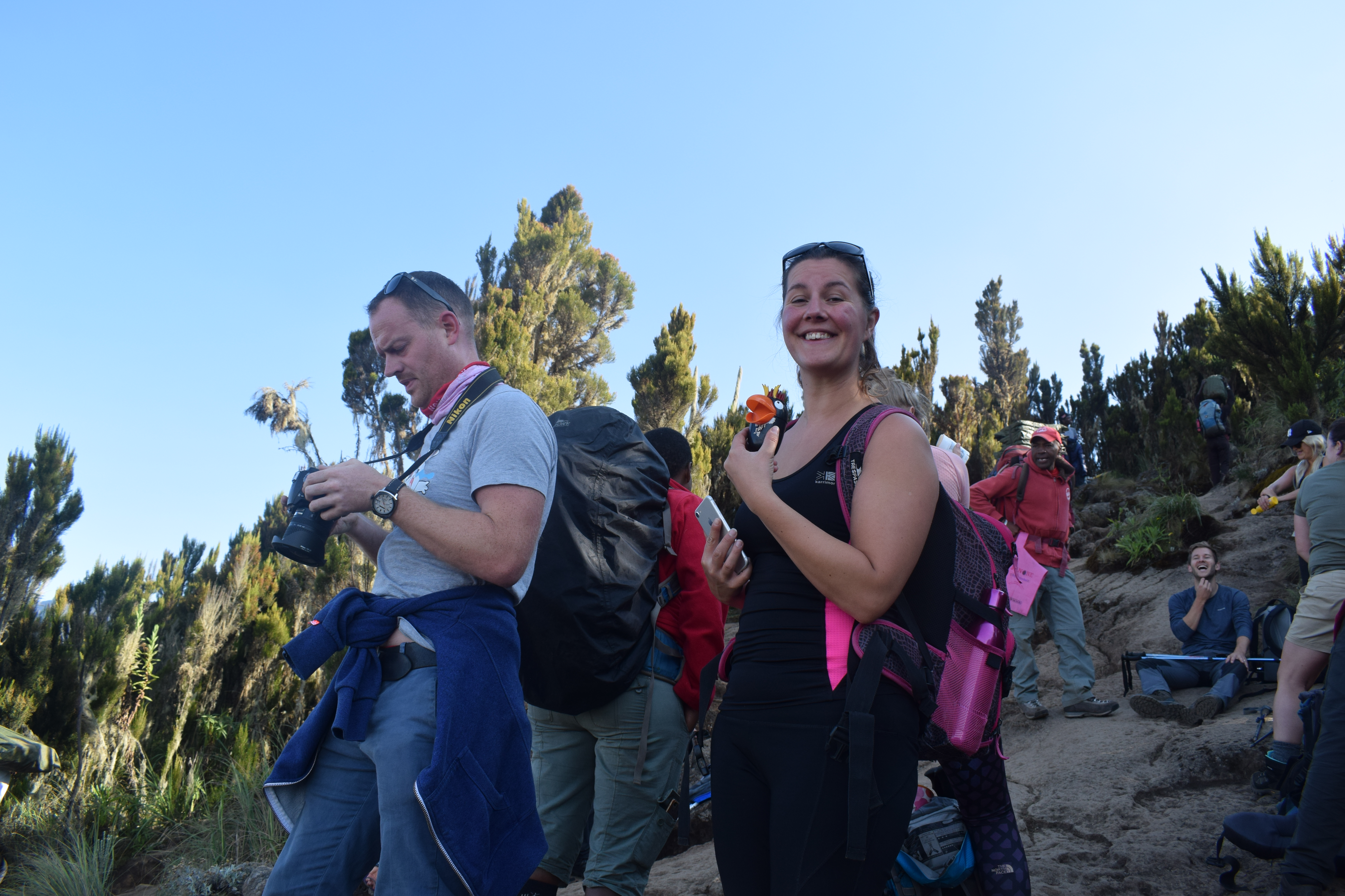 image_CVAU4XVJ82TATKGC