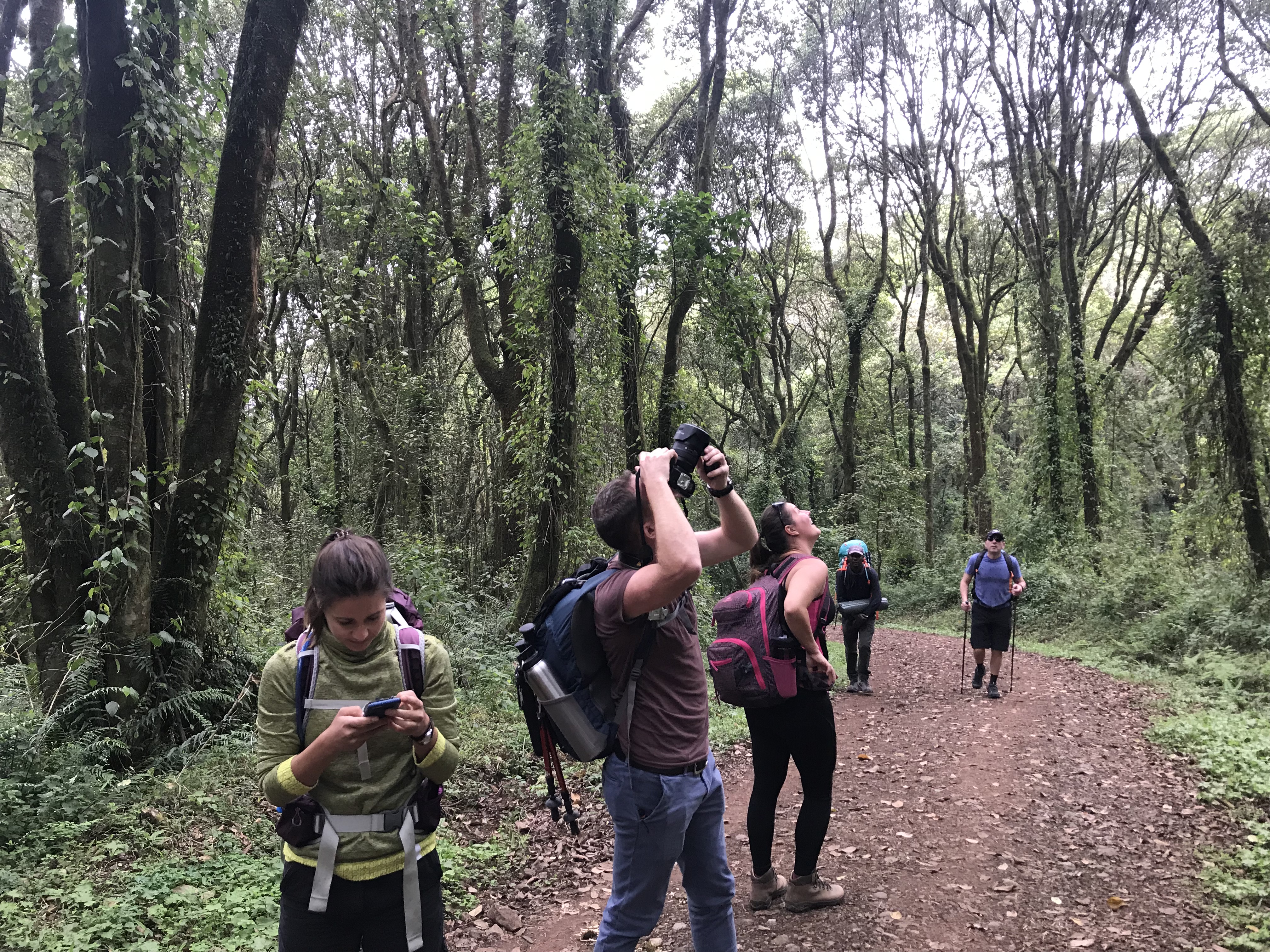 image_57SVAUUD7BZE22WG