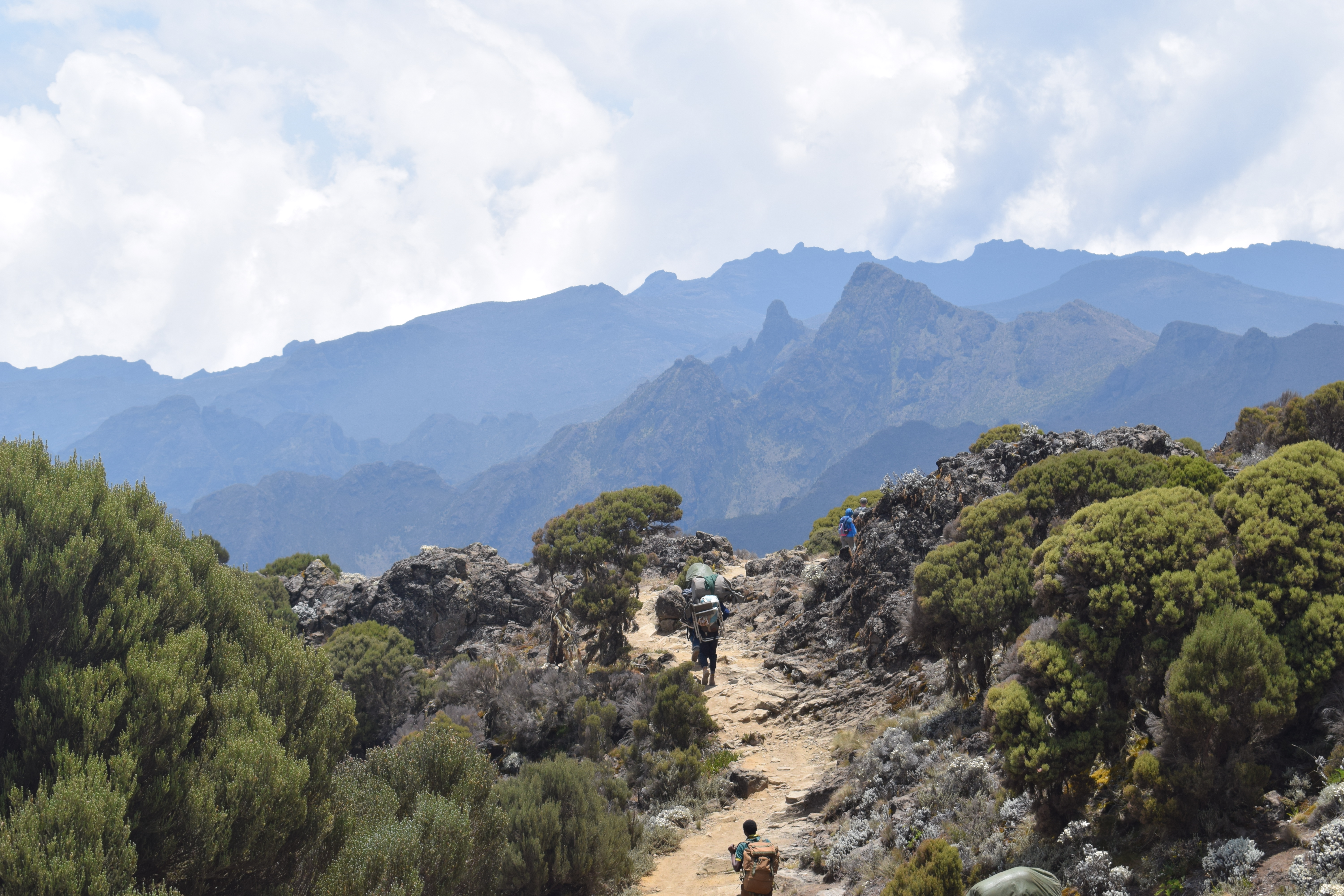 image_QCE3MF4Z7AQ2JAMY