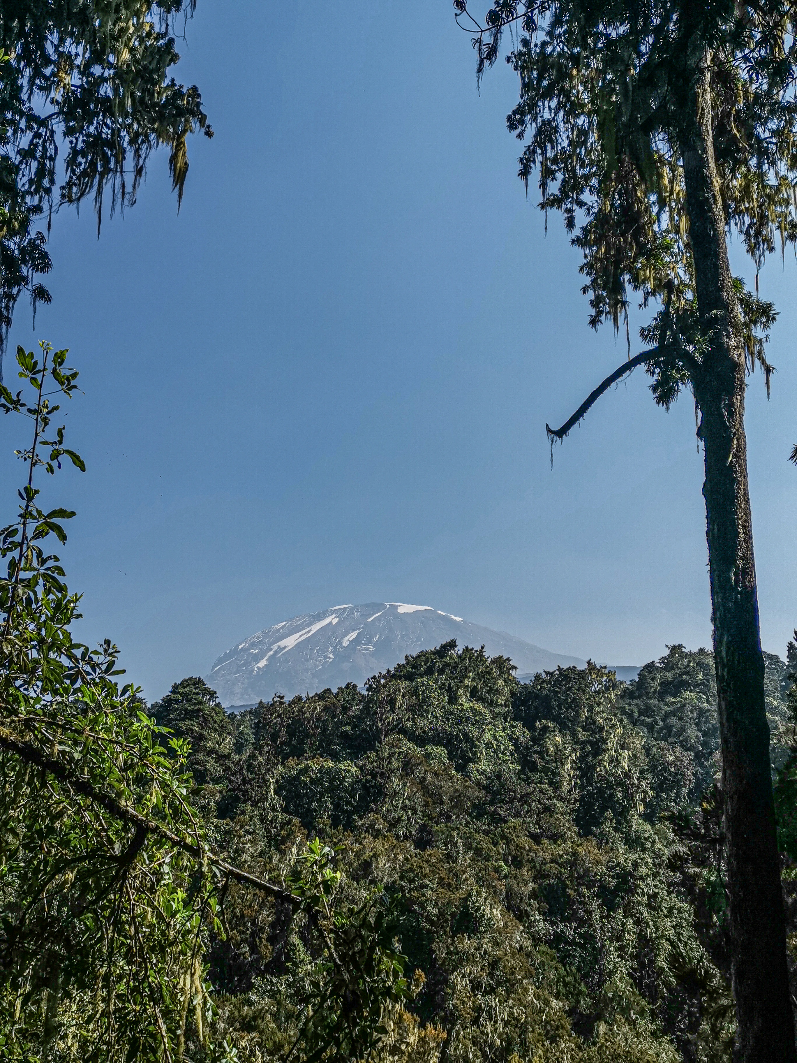 image_KKV6JYMALY7XYY23