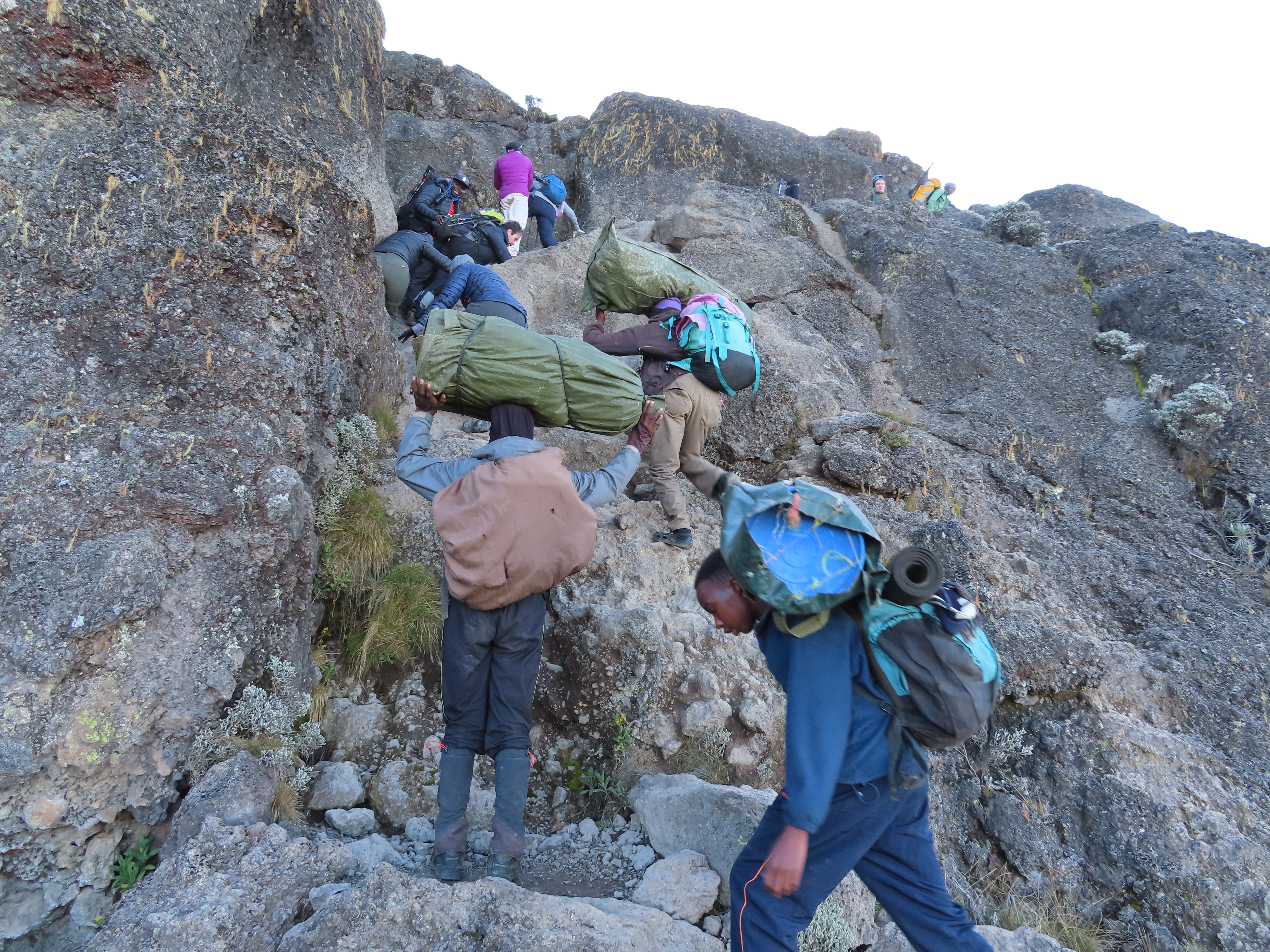 image_LLWV7Y6WFPQ6MVFD