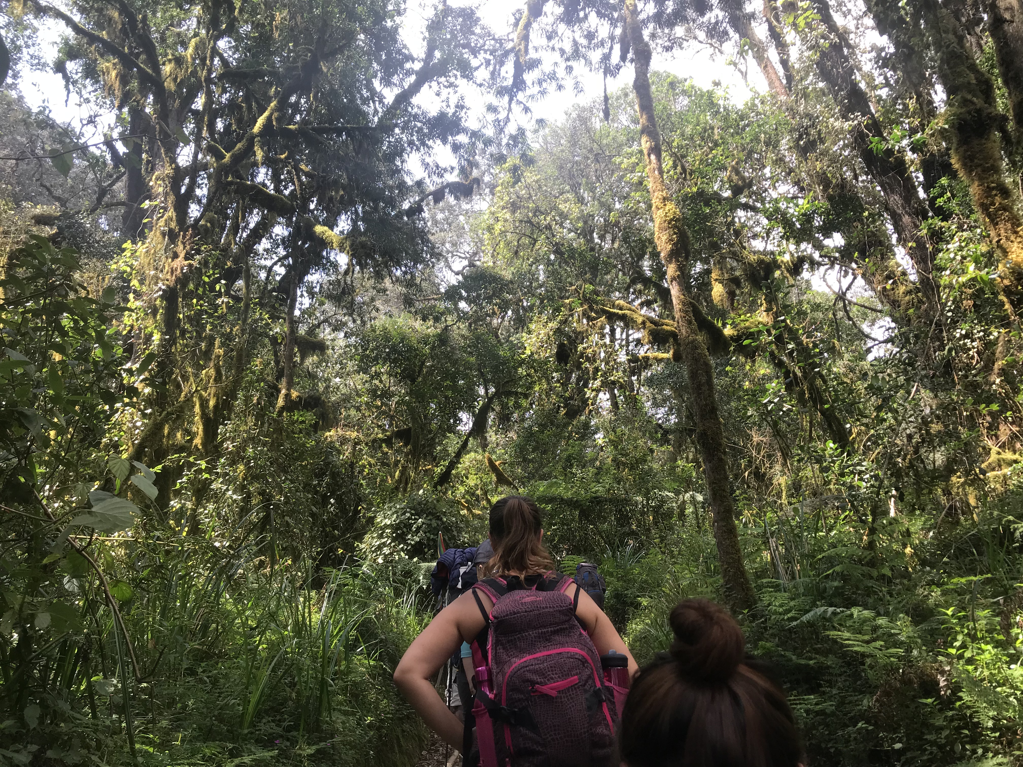 image_JQATHSY7VVHCZ3VV