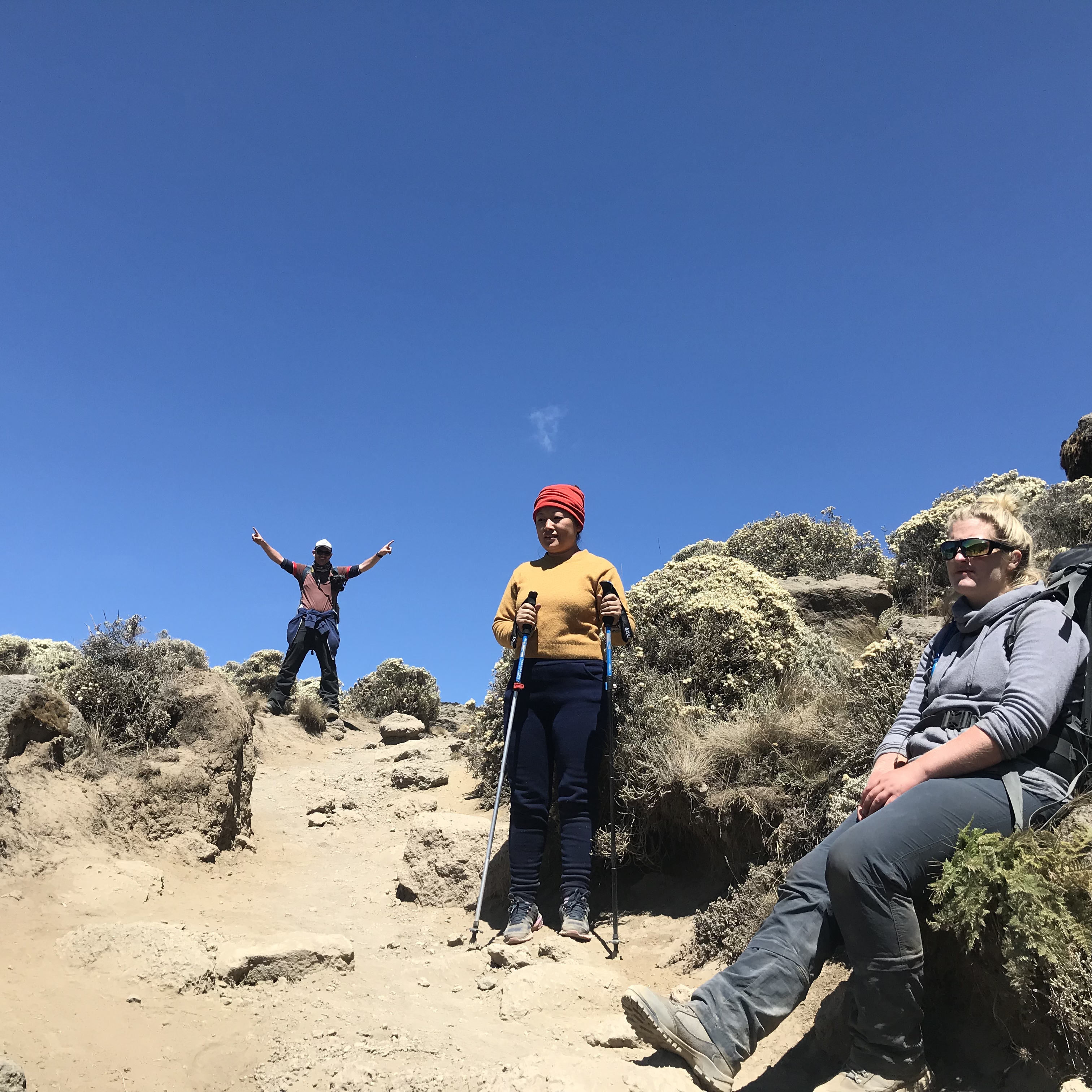 image_YHRV3J32KVT85BPV