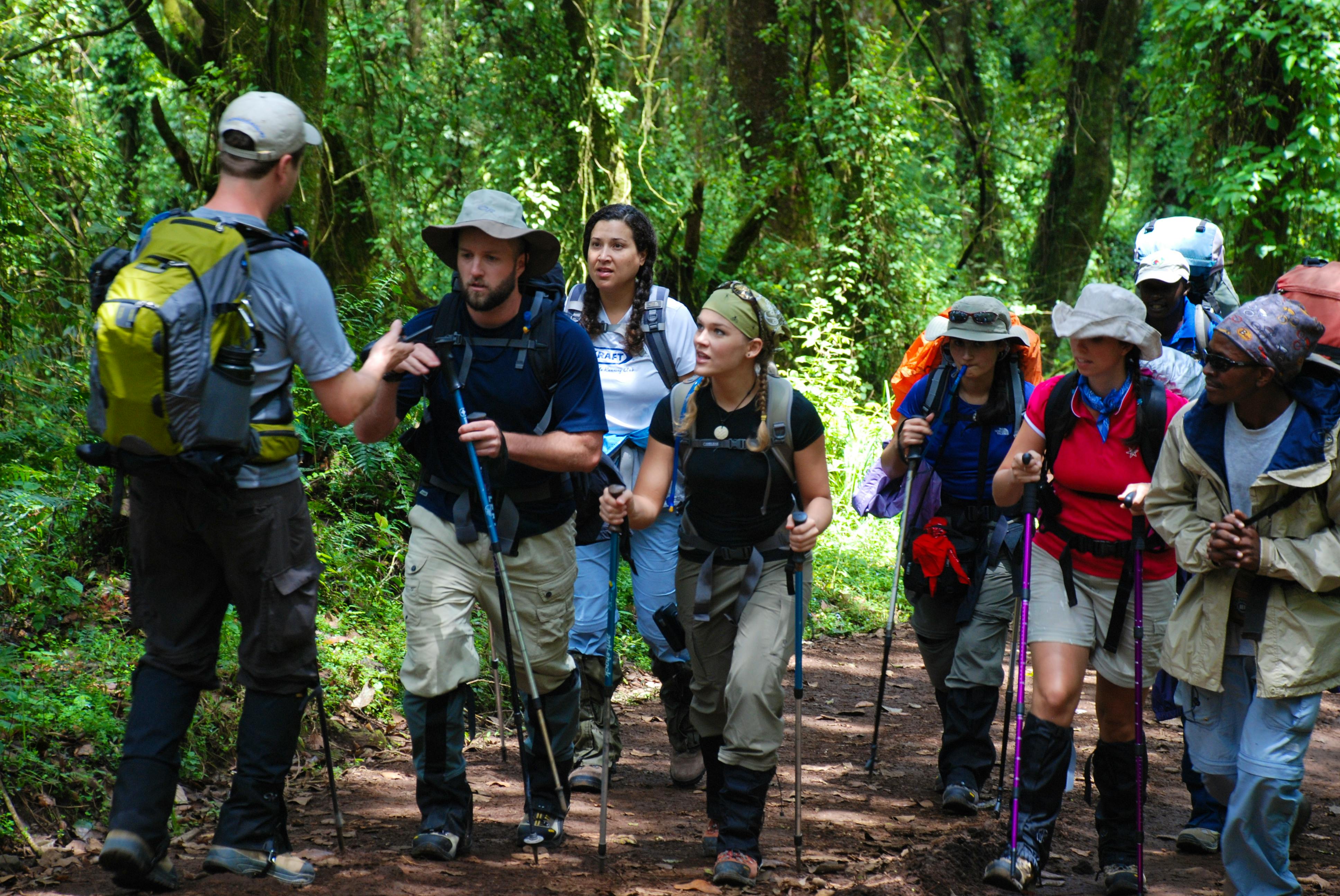 Kilimanjaro Lemosho (8 Day Route)