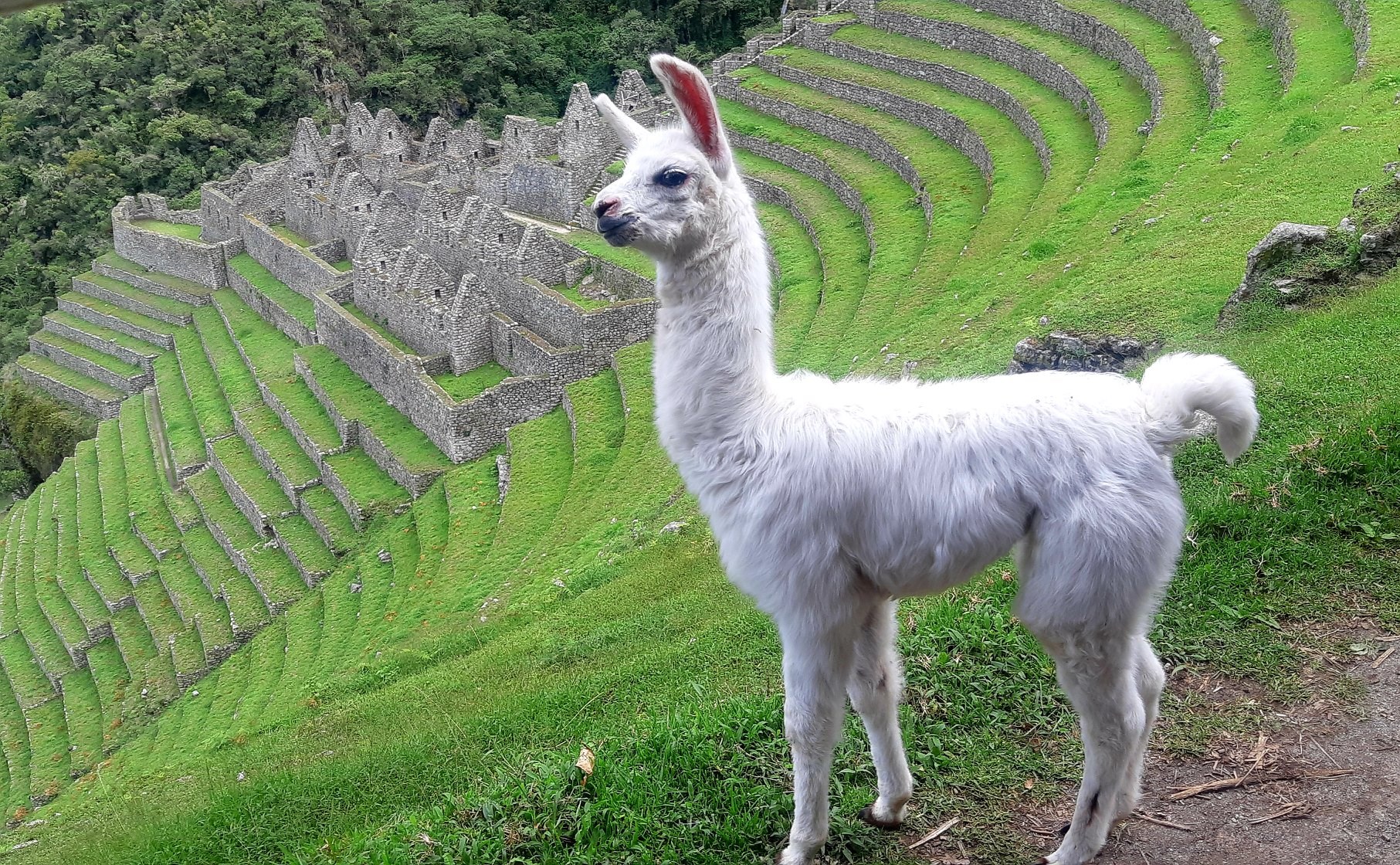 image_DYT4ESH7XHUQHF48