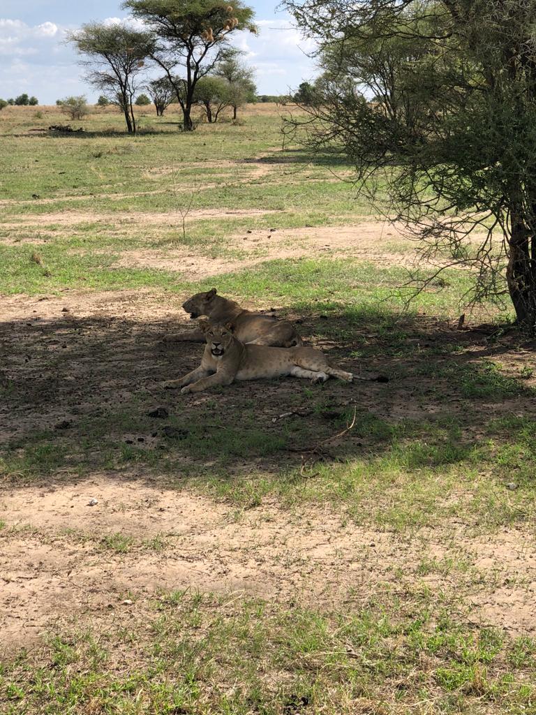 image_35NDSDELBQR2XC7Y