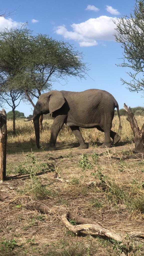 image_SBV528PRFUNAGP85