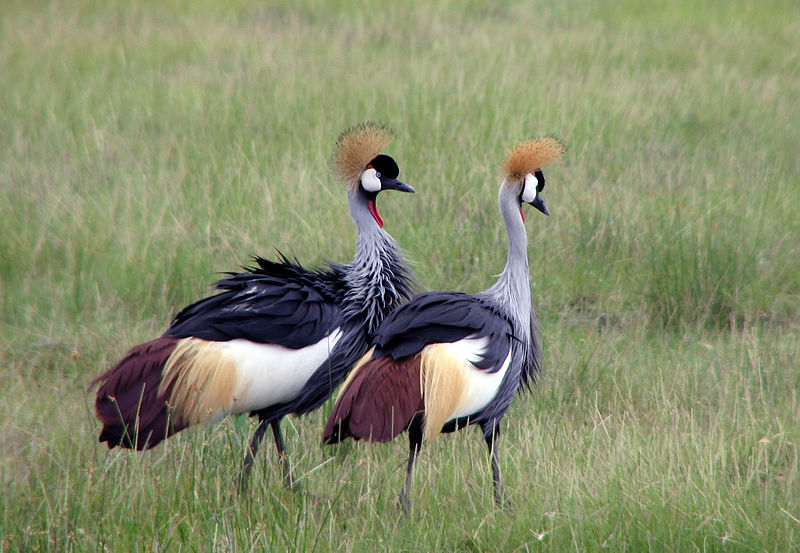 image_CPLMAZENRCC7F6KQ