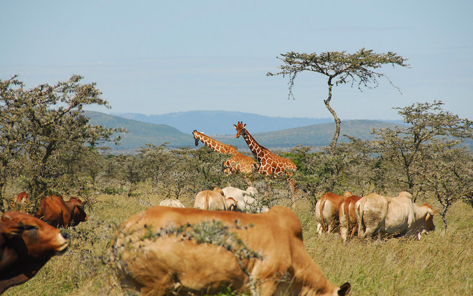 image_WGZ8CQGK6DCAE3DP