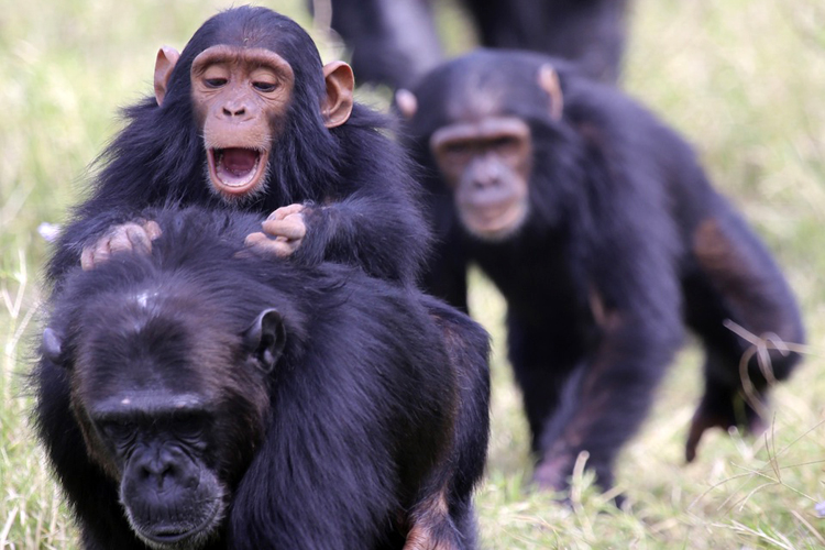 image_GJ3H35464NGSFEBE