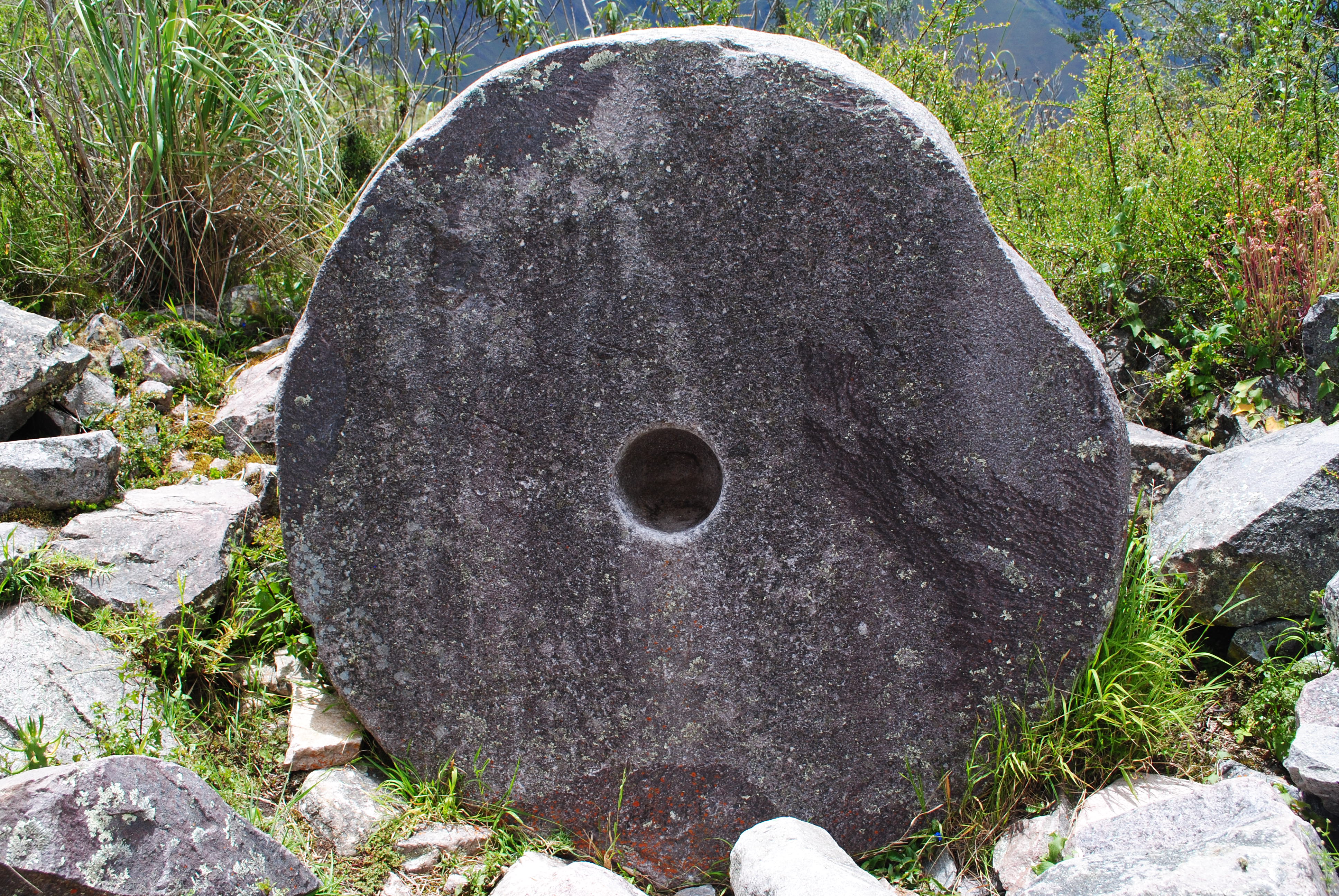 image_YTMYJXJNY4PYJGRP