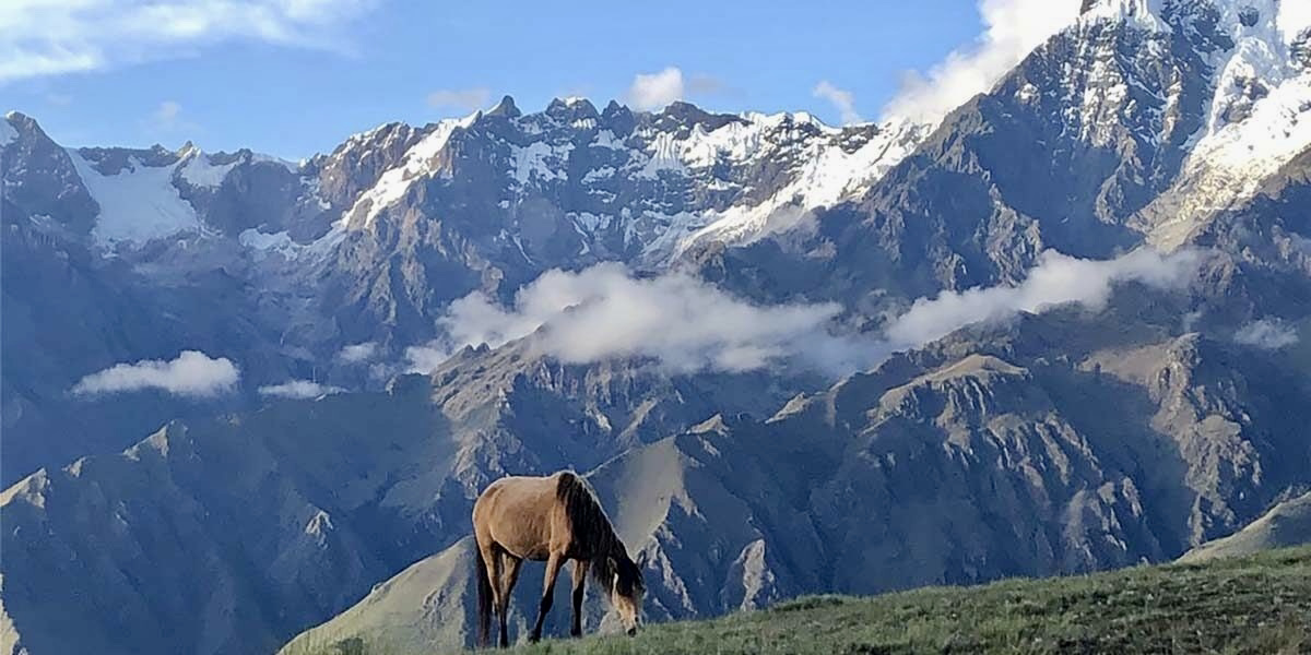 image_N3ECACRGE4H3SKFY