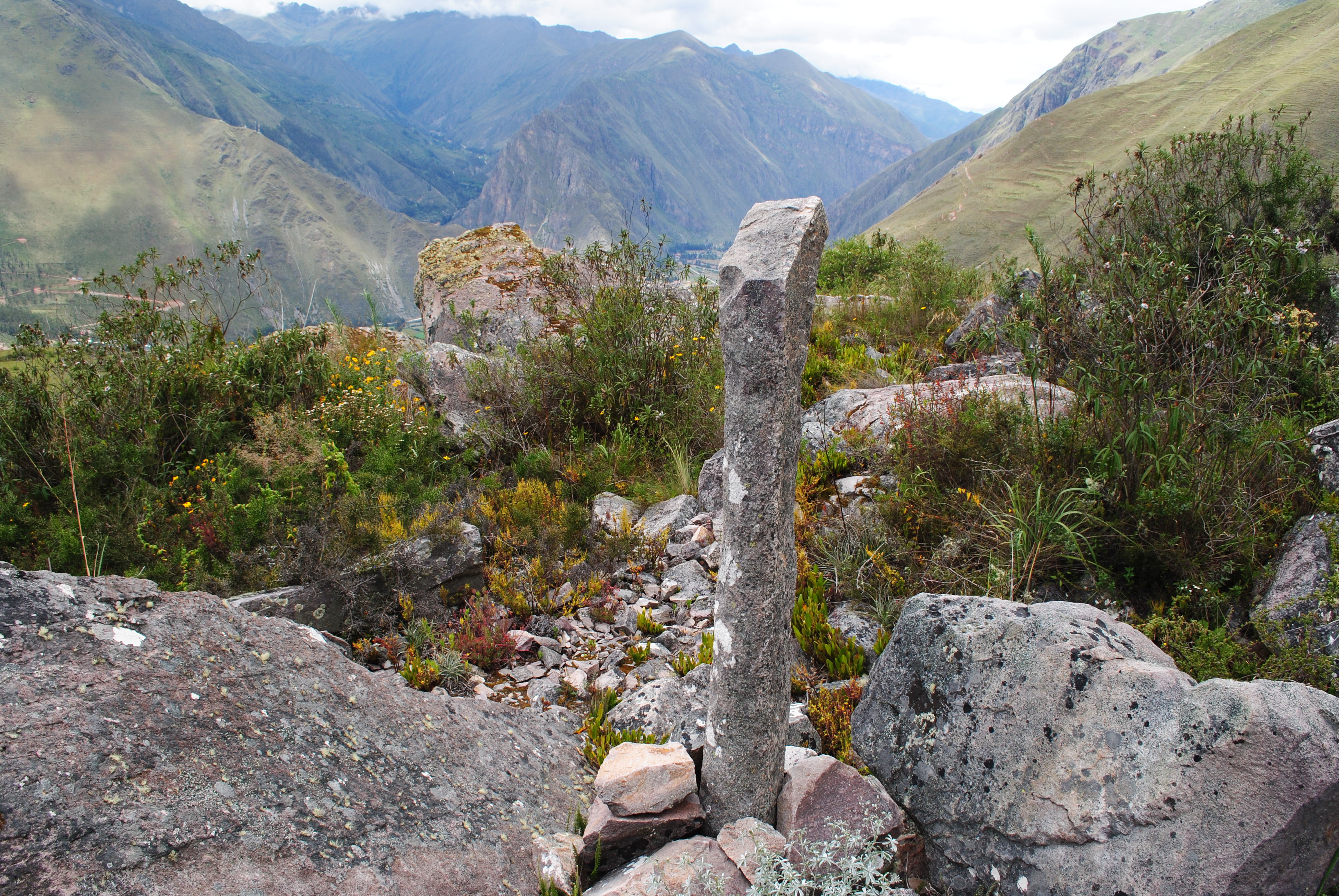 image_UDVGMCSCKZNGWQJQ