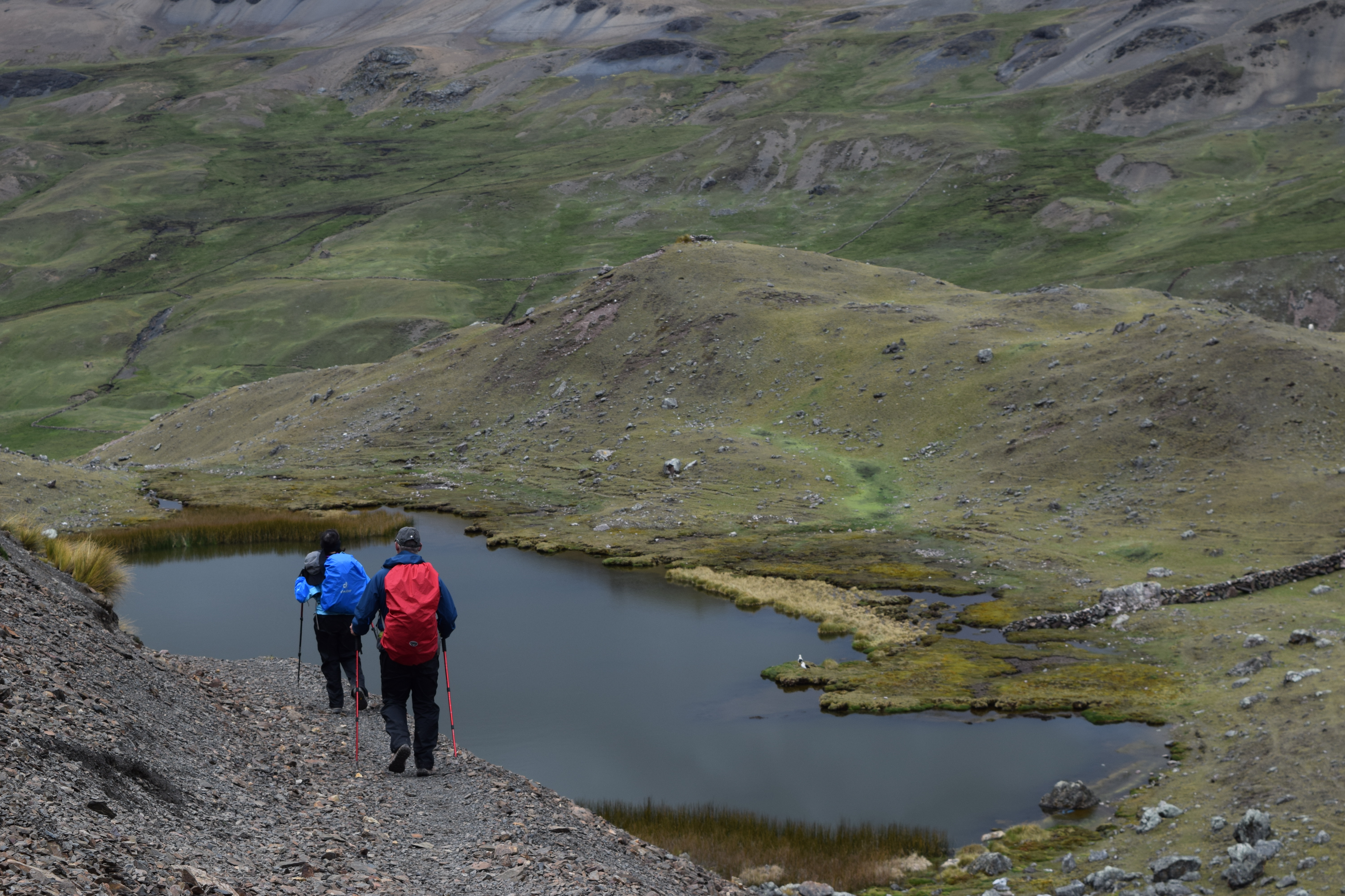 image_NERHAGXTUU66QER7