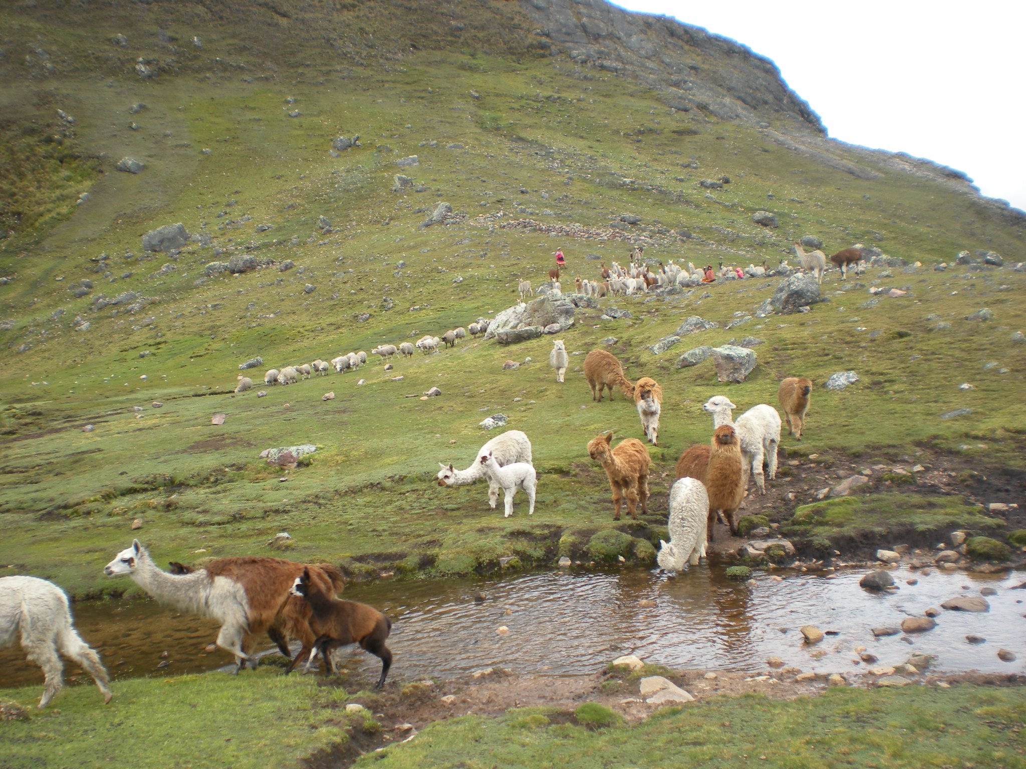 image_ZFNW47G988AMPDB2