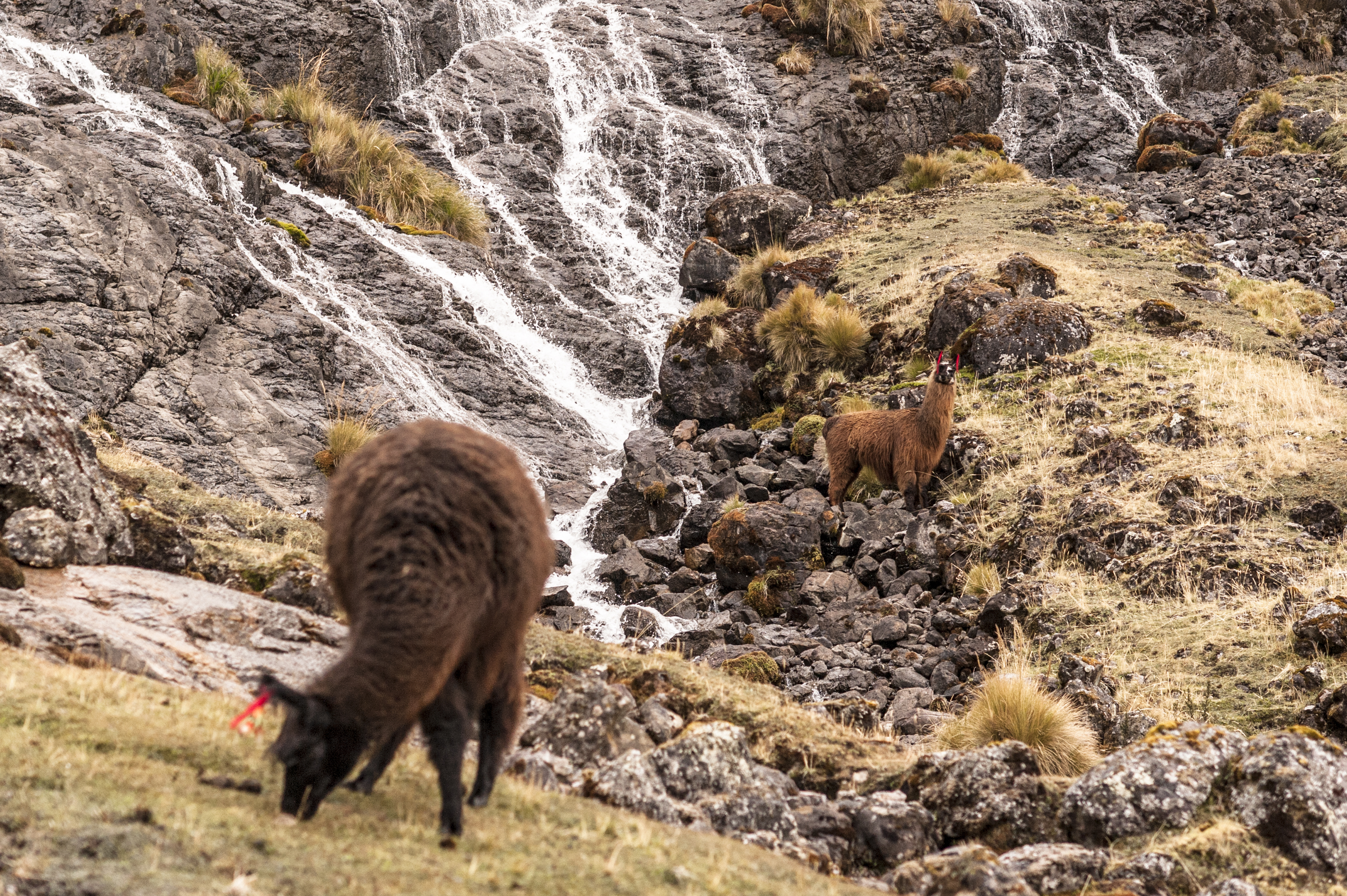 image_2AB2HH6PVLCZST6B